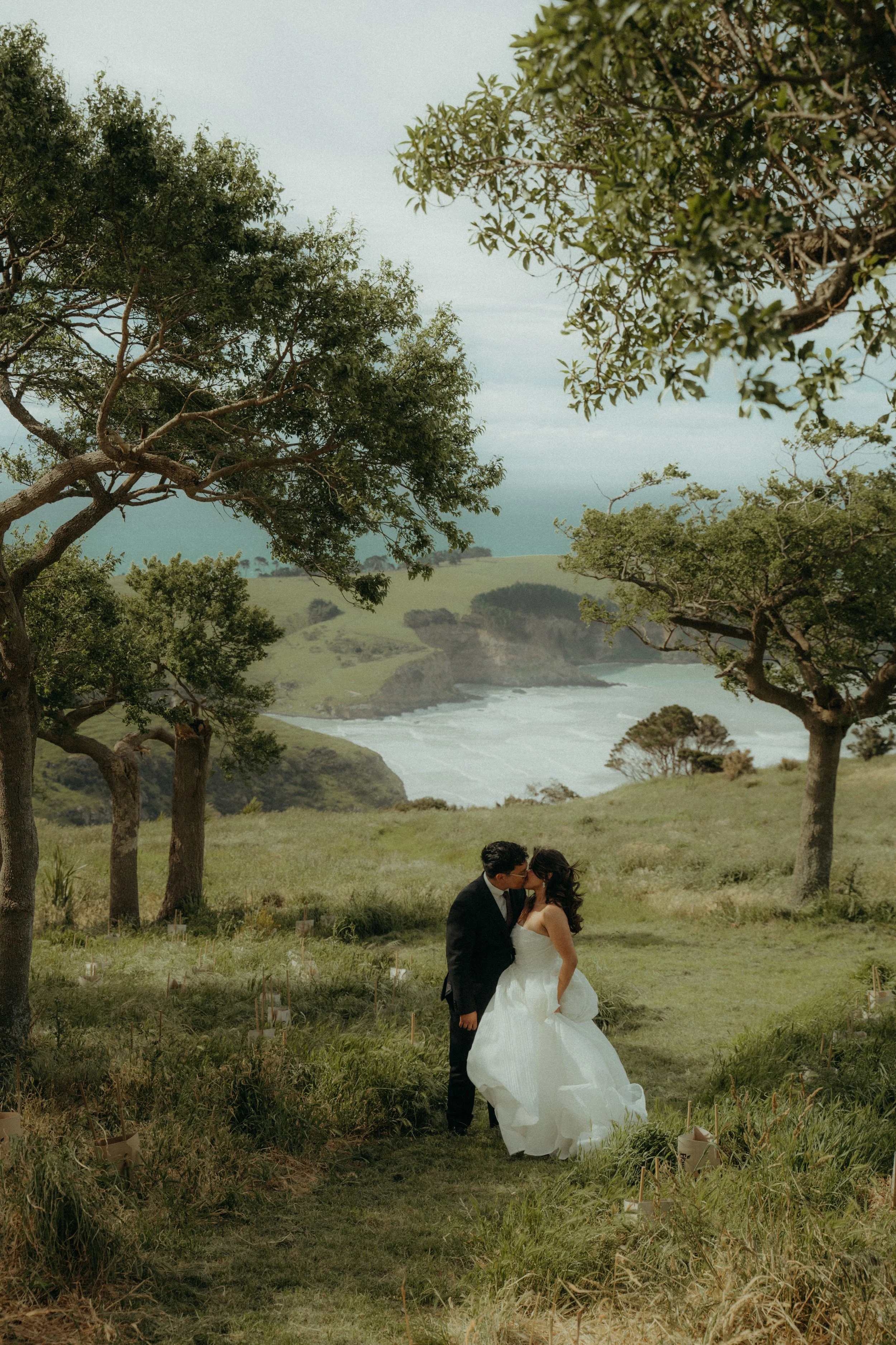 Joshua Yates Photography - Banks Peninsula-70.jpg