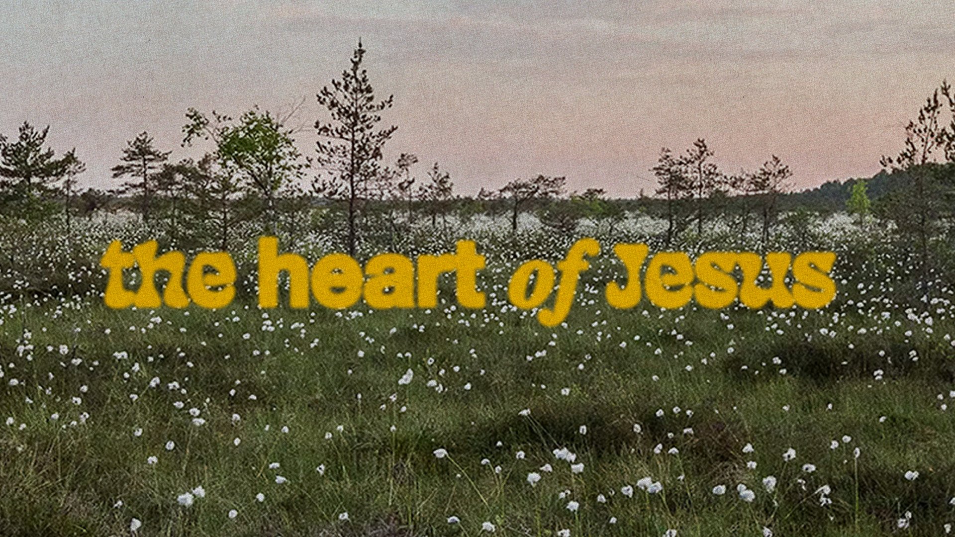 The Heart of Jesus | Week Three