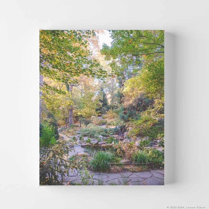 8x10-Van-Landingham-Glen-UNC-Charlotte-Botanical-Gardens-Canvas-Print-Hero-Image.jpg