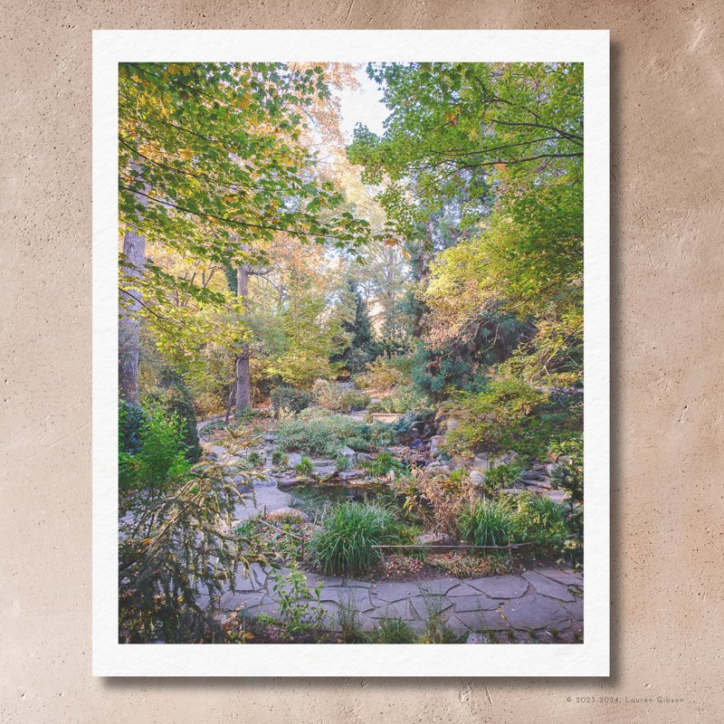 8x10-Van-Landingham-Glen-UNC-Charlotte-Botanical-Gardens-Paper-Print.jpg