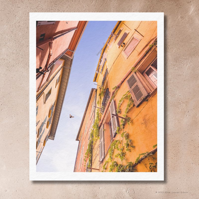 8x10-The-Bird-Vines-and-Sky-Paper-Print.jpg