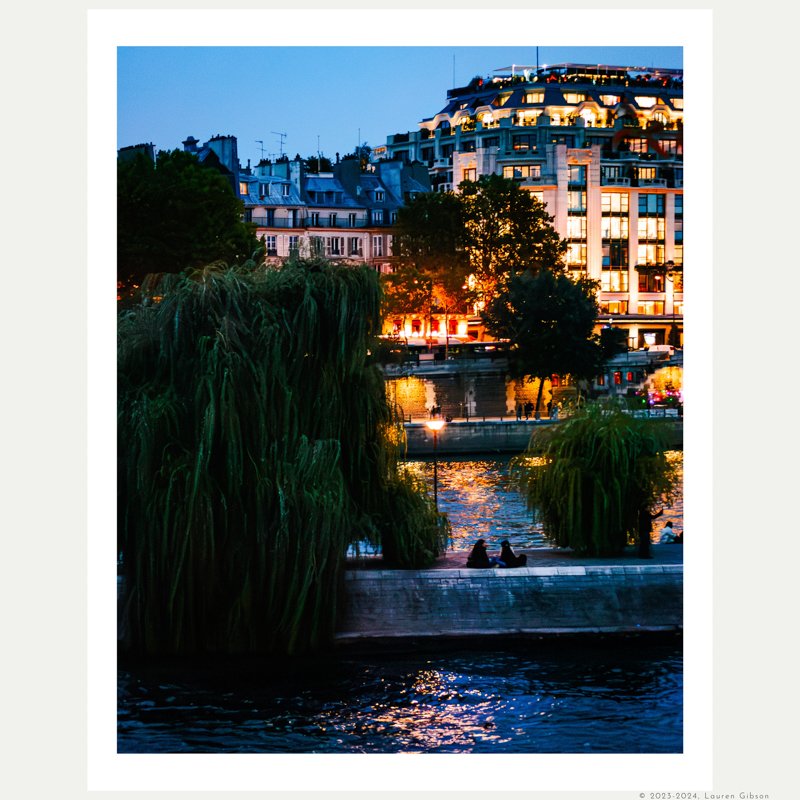 8x10-Willow-Tree-Evening-Light-Art-Print-Hero-Image.jpg
