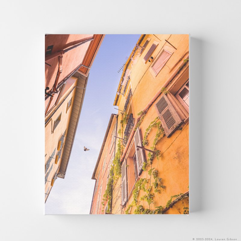 8x10-The-Bird-Vines-and-Sky-Canvas-Print-Hero-Image.jpg
