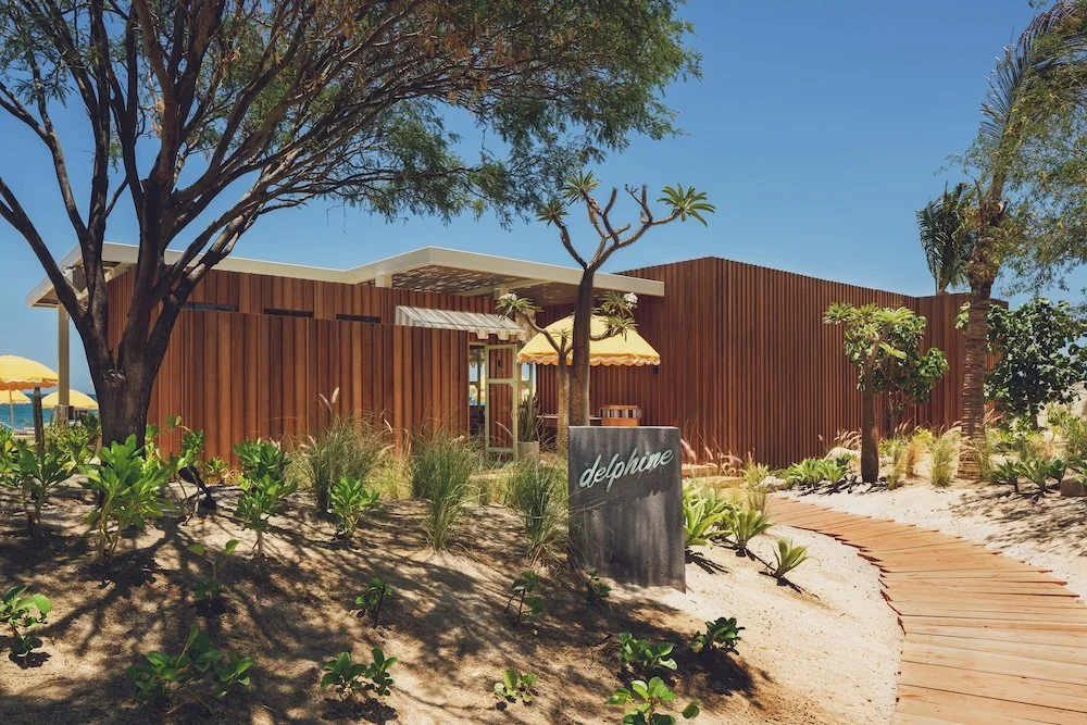 CP - Delphine0001 - WR.jpg