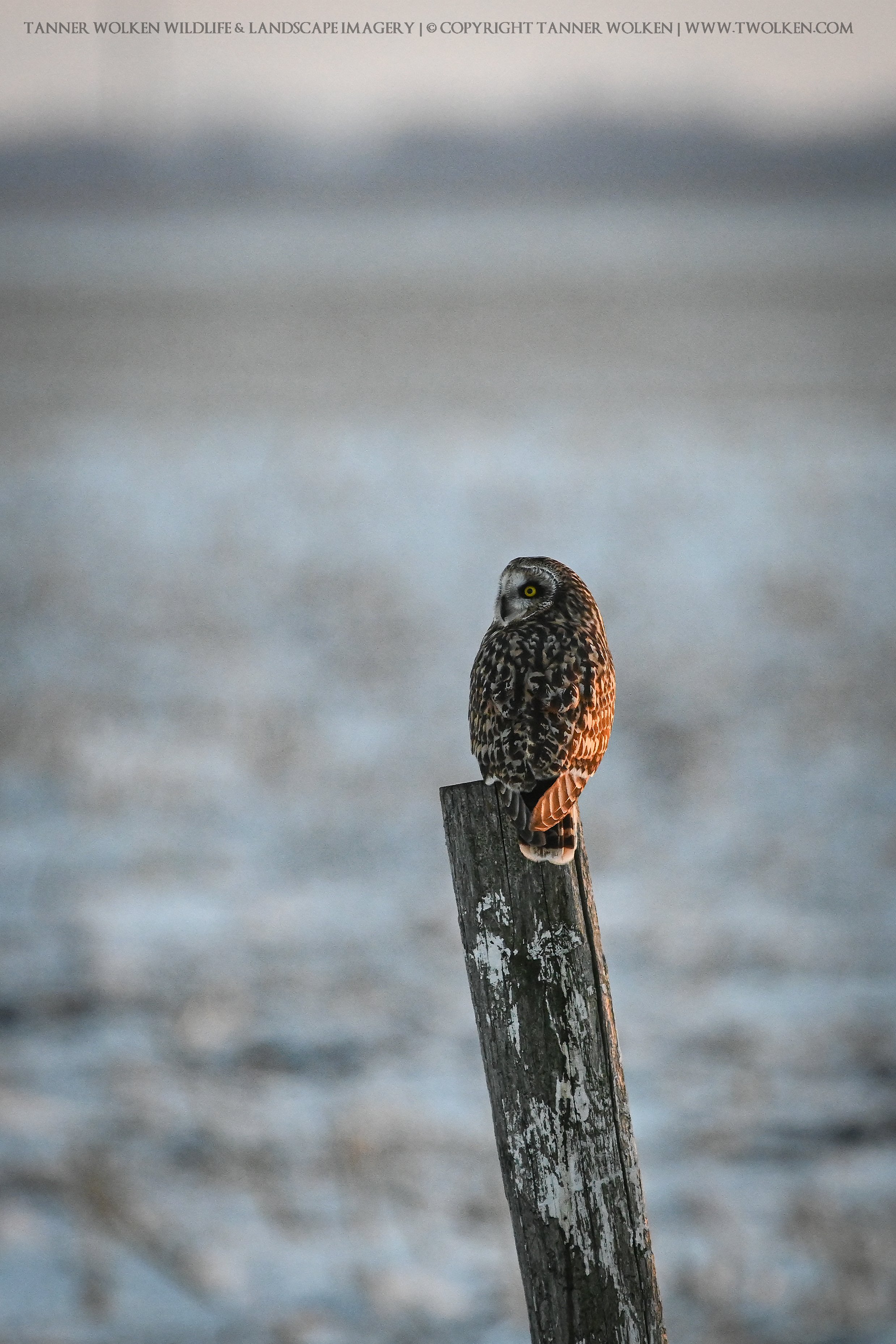 TWW_6117.jpg