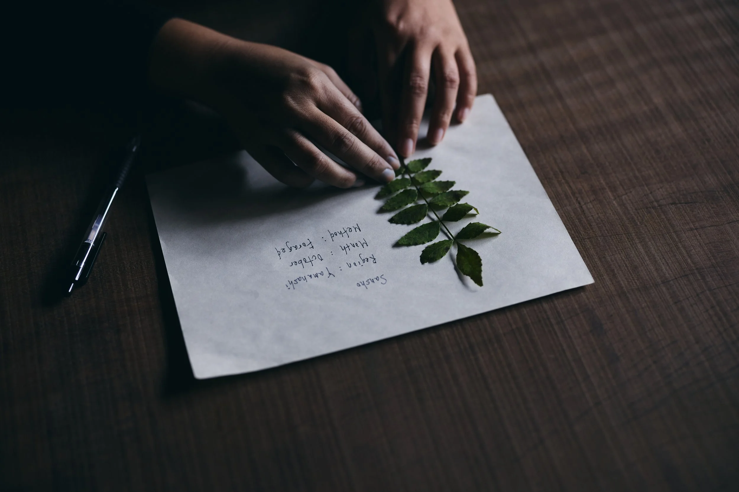 56_KRI_241126 (2).jpg