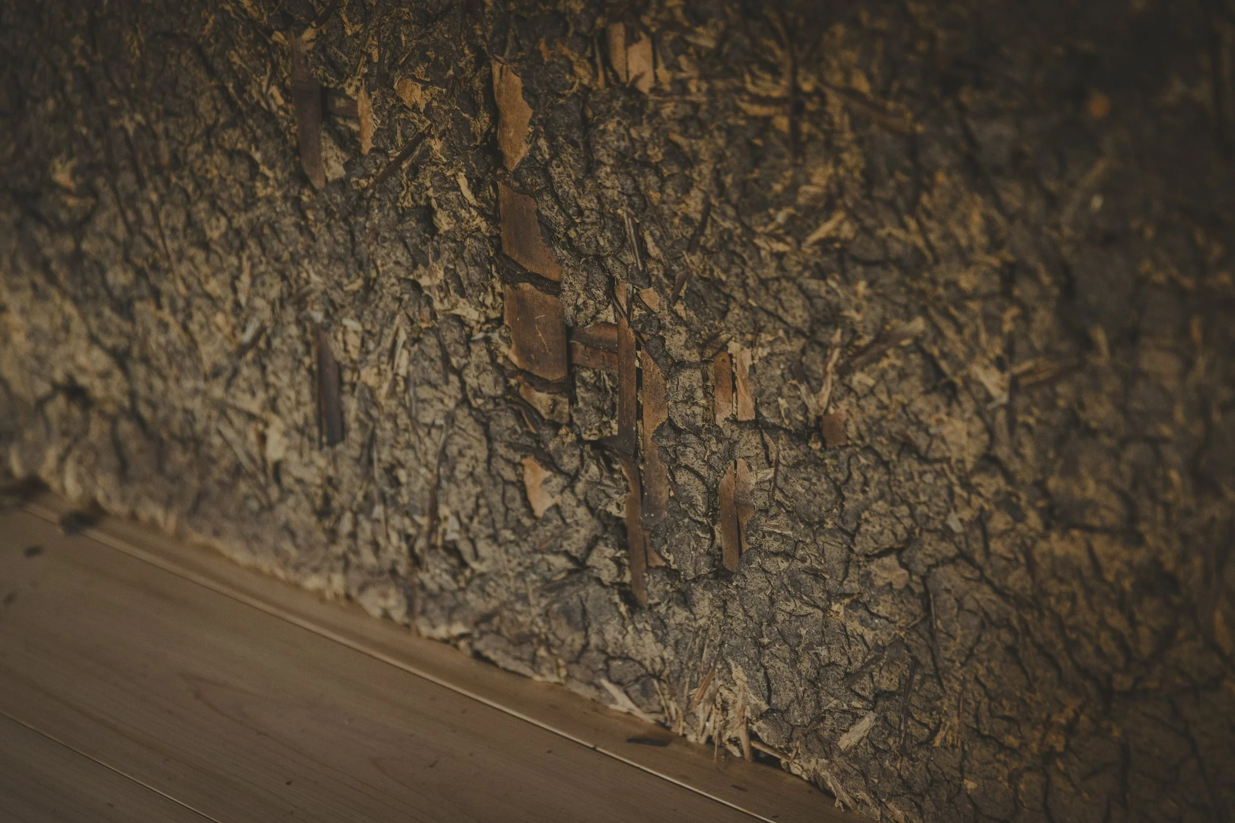 118_KRI_251023 (1).jpg