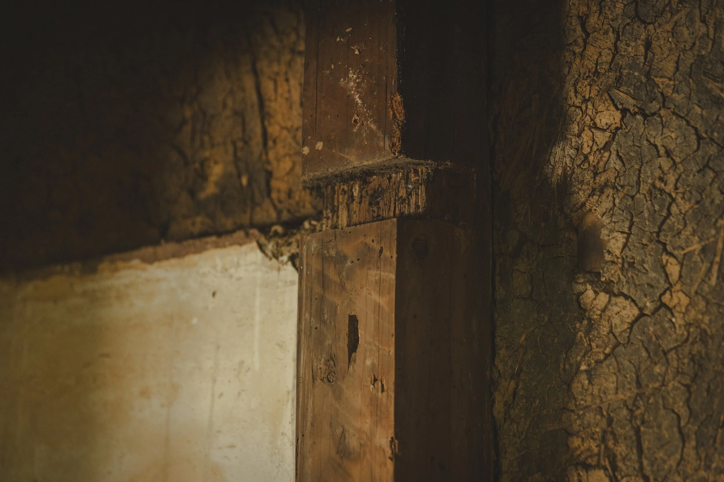 070_KRI_251023 (1).jpg