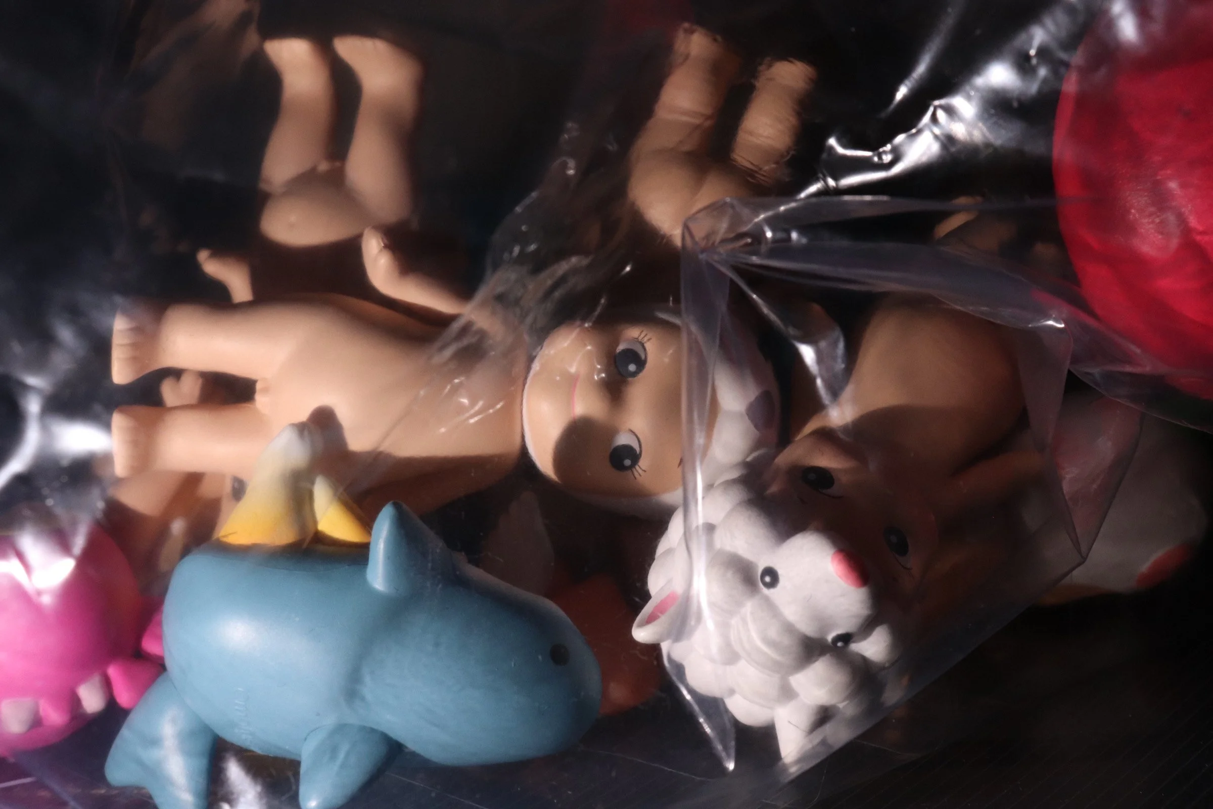 Encased and Piled.JPG