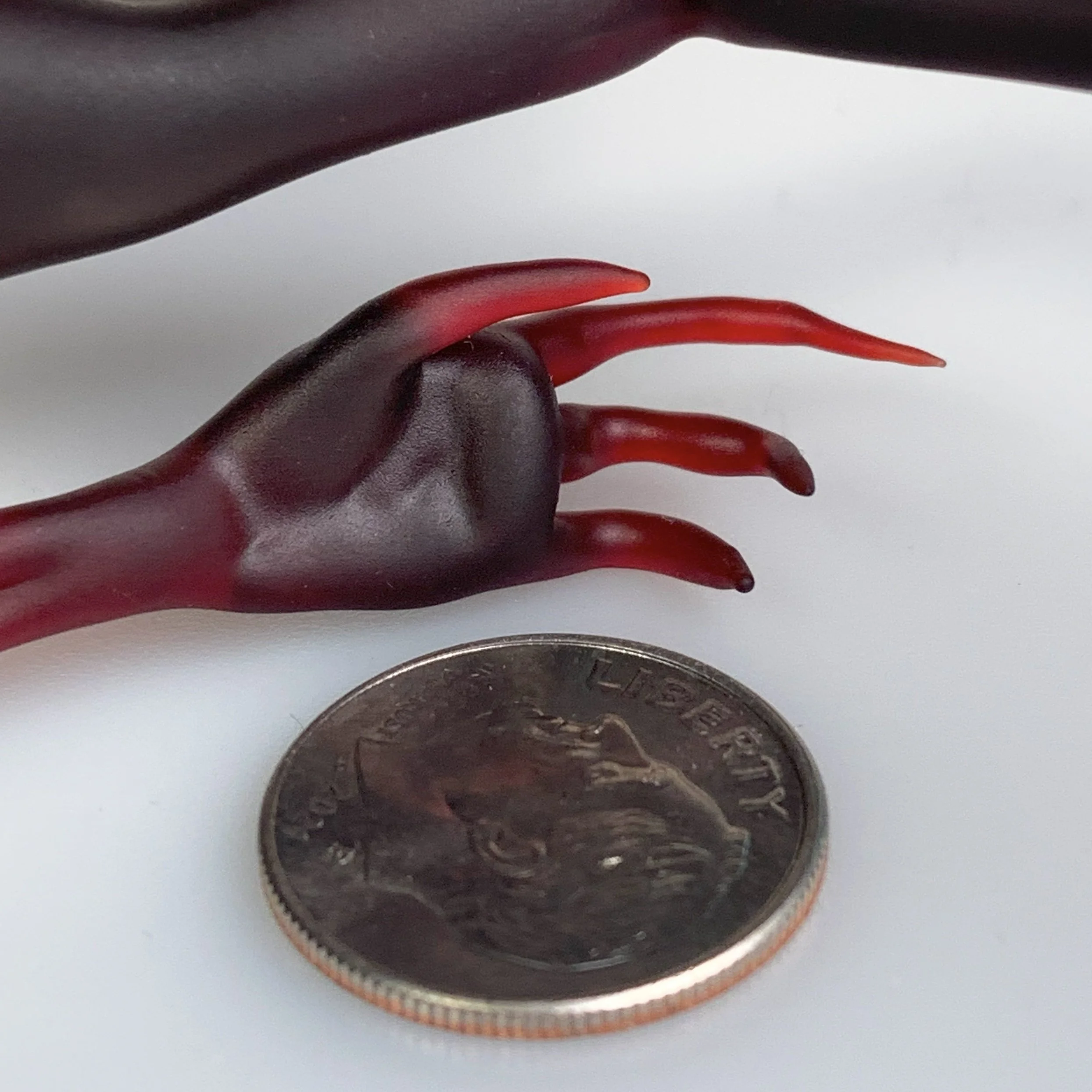 handcloseupcoinreference.jpg
