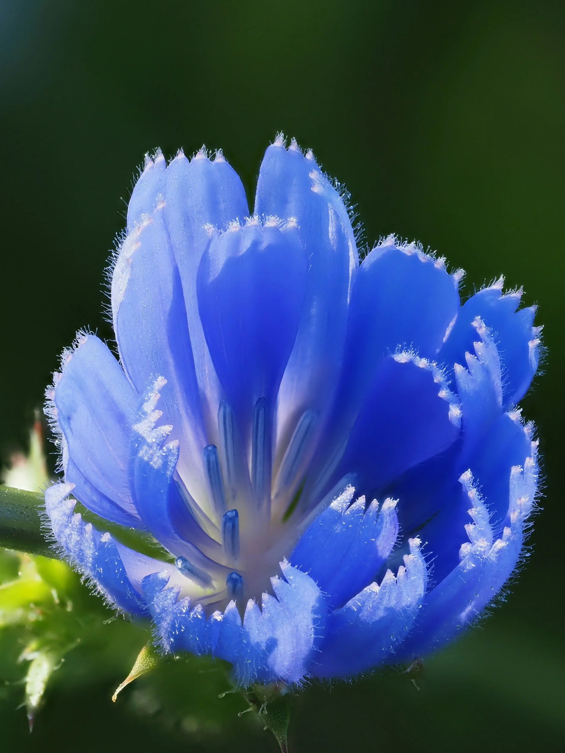 Postpartum - Preparing (Part 2)