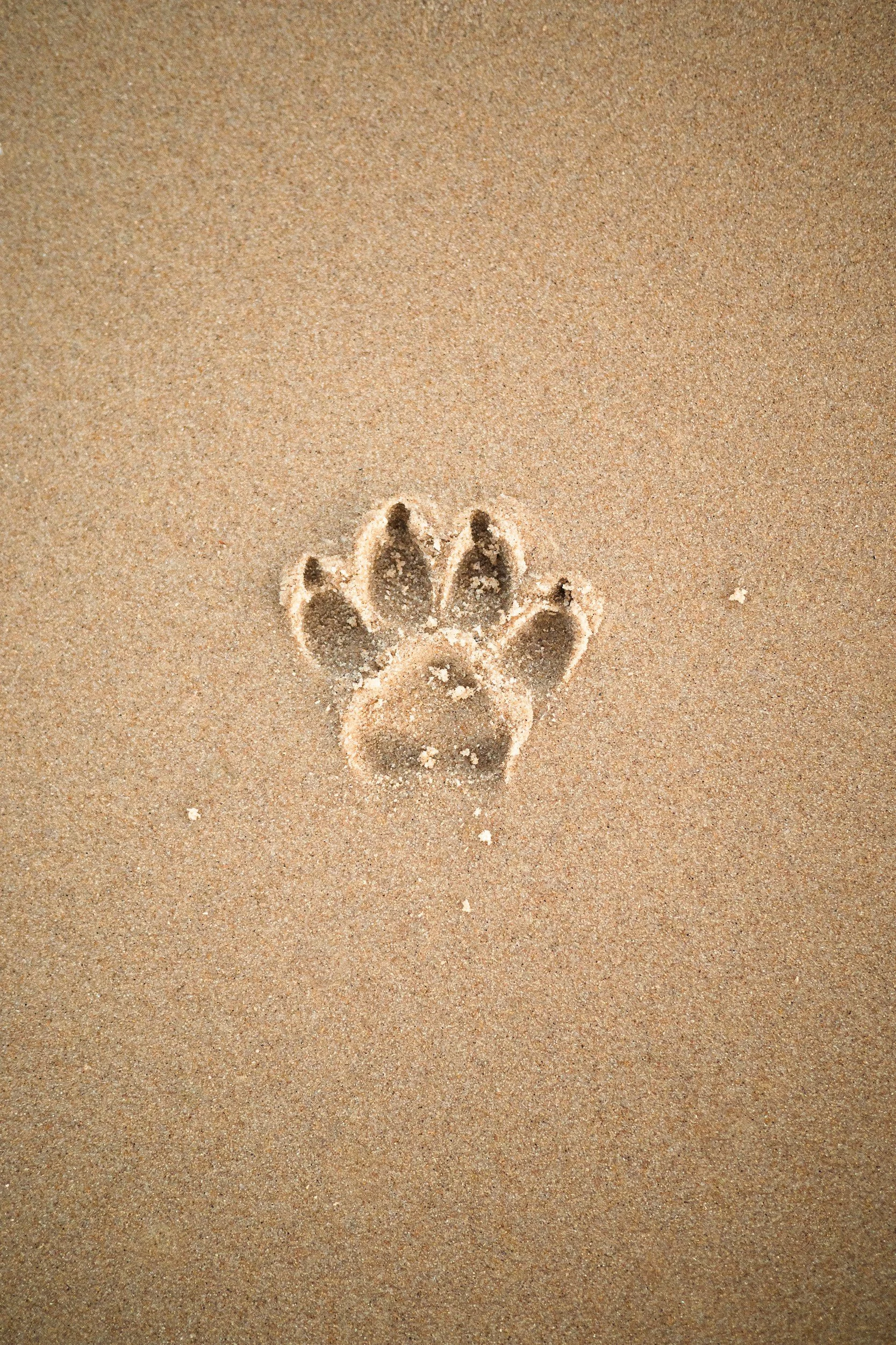 Imprints