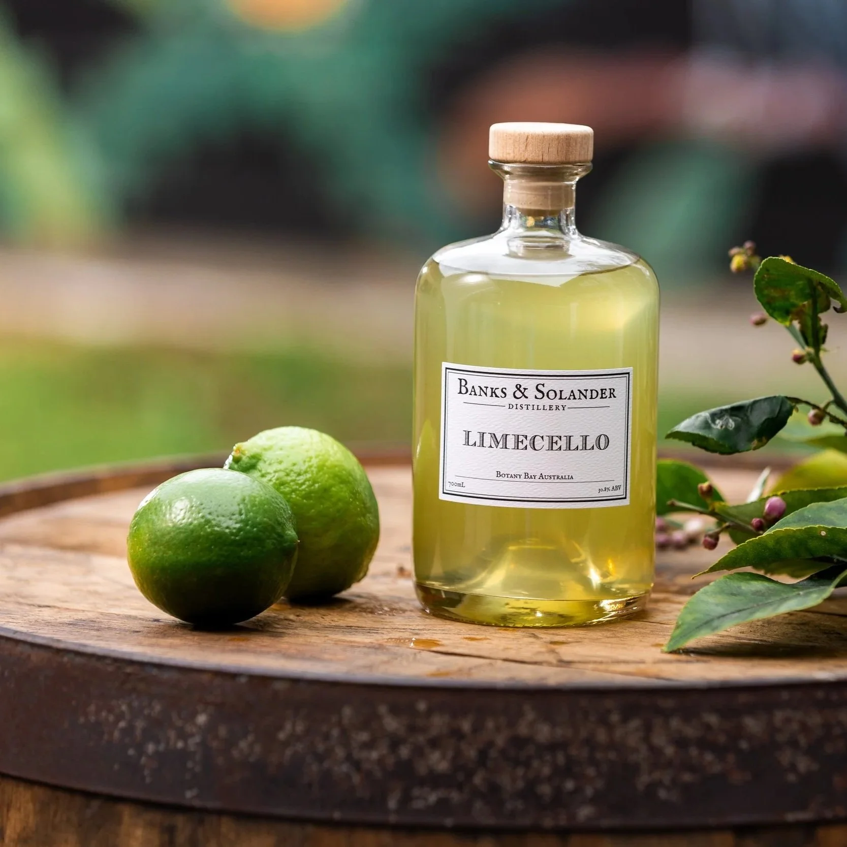 B%26S_SUMMER25_LIME_MKR37336.jpg