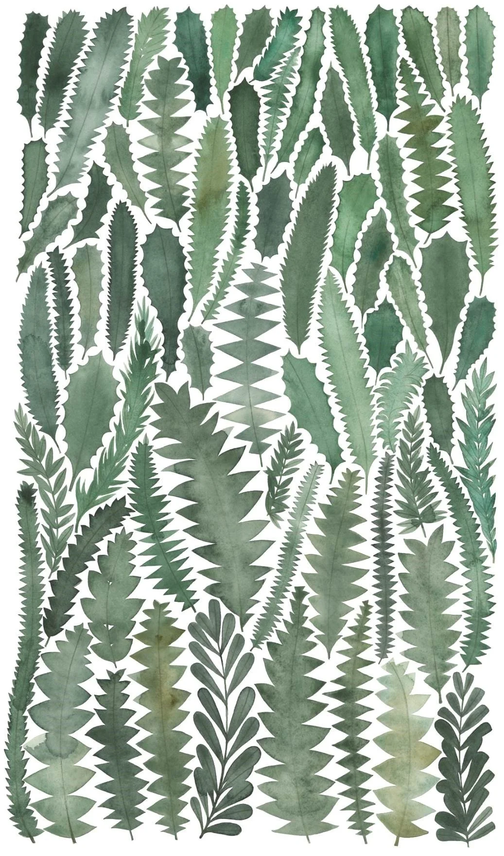 Banksia Leaves artwork by Natalie Ryan