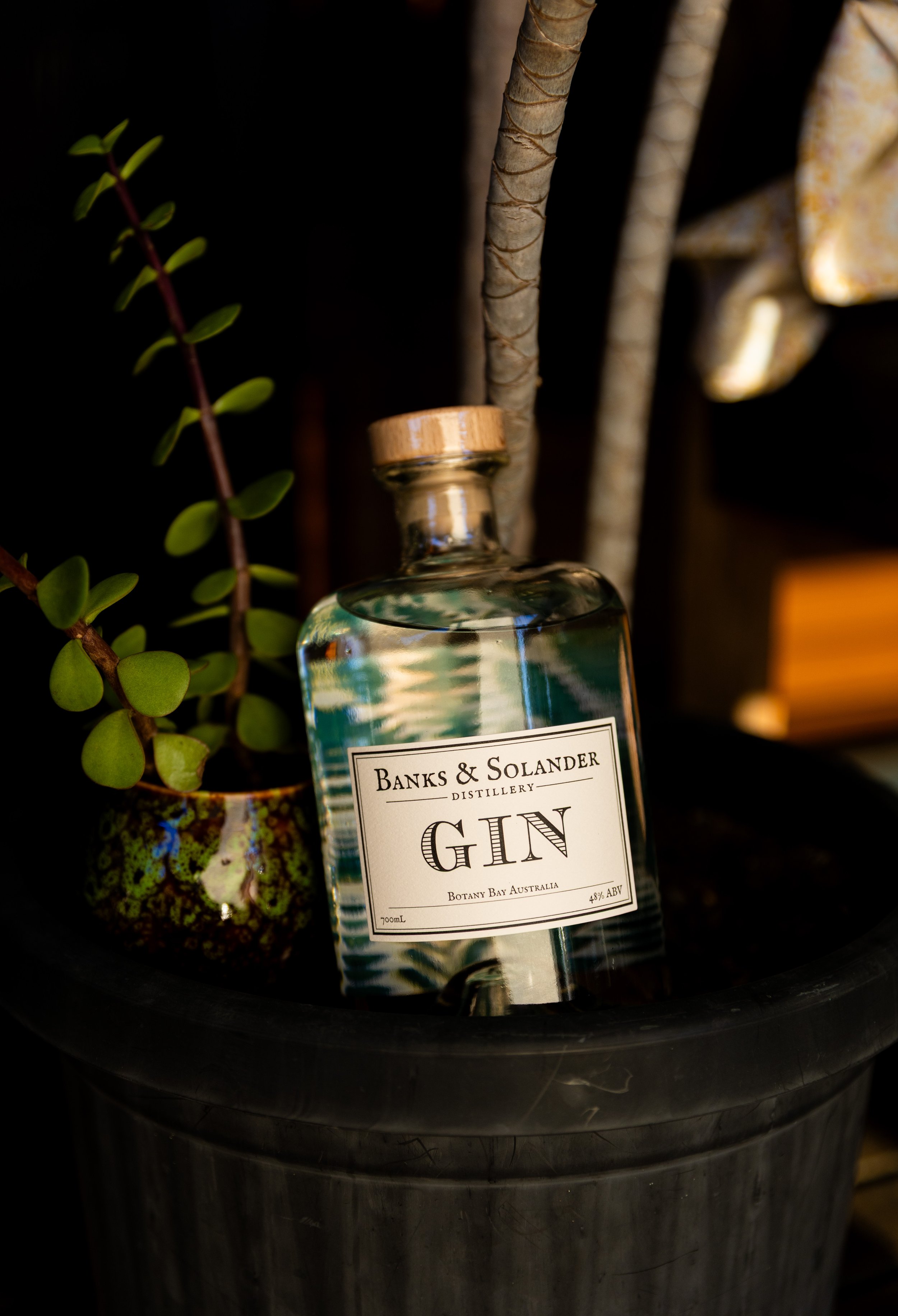 B&S-35708SIG-GIN.jpg