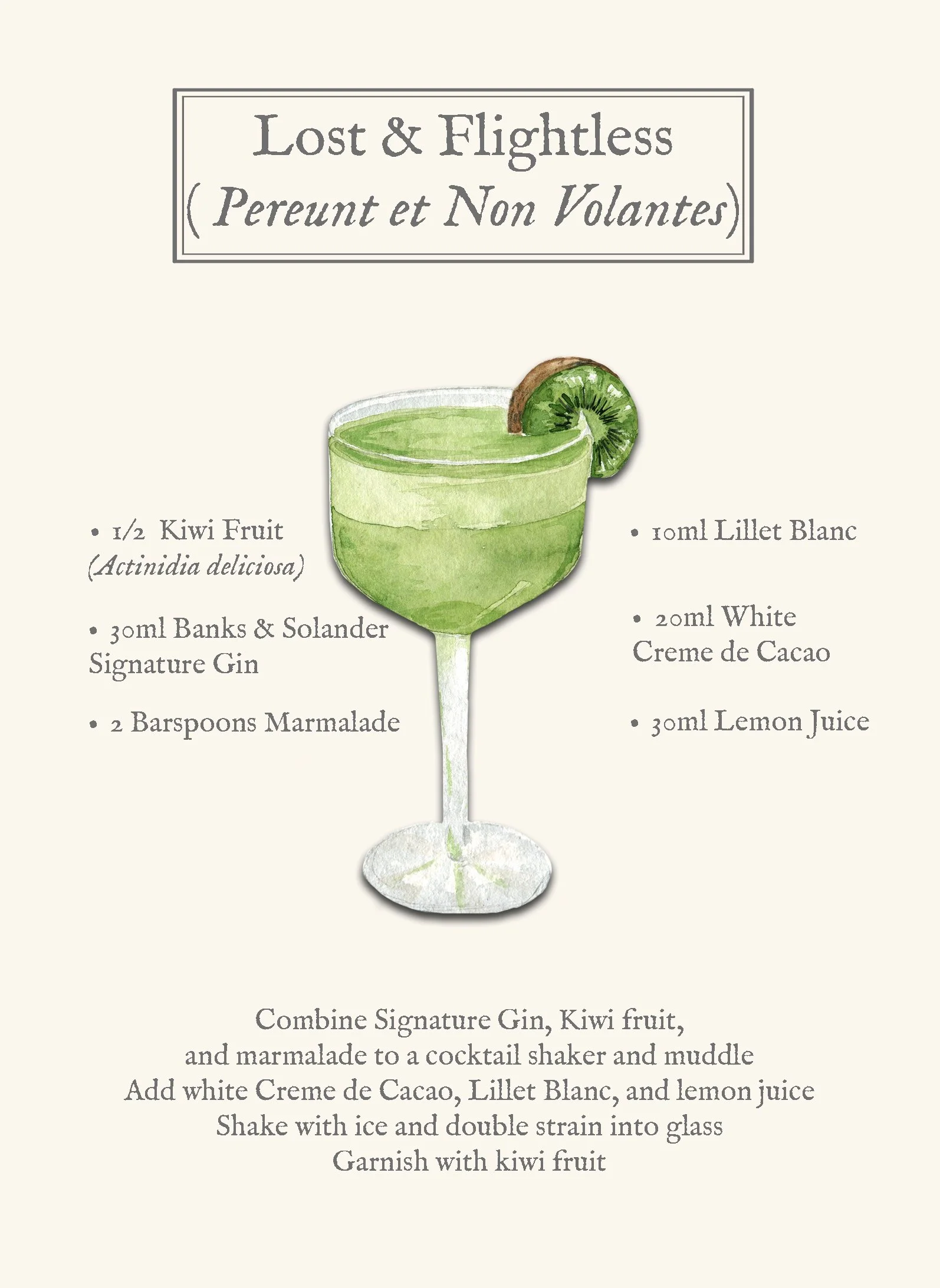 A watercolor illustration of a green cocktail garnished with a slice of kiwi fruit. The recipe for the cocktail is titled 'Lost & Flightless' and includes ingredients like Kiwi fruit, Banks & Solander Signature Gin, marmalade, Lillet Blanc, White Cre