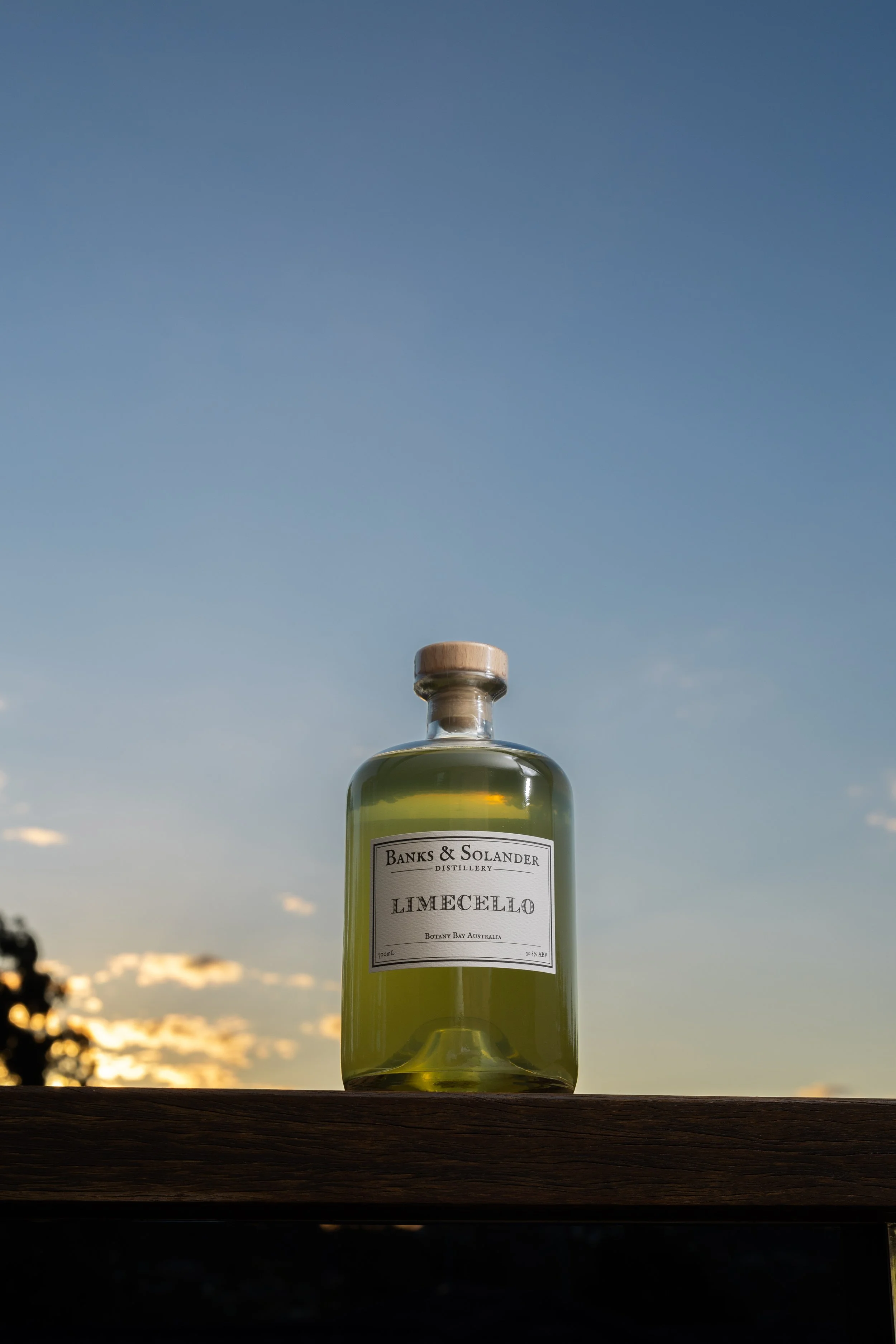B&S-LIME-35780.jpg