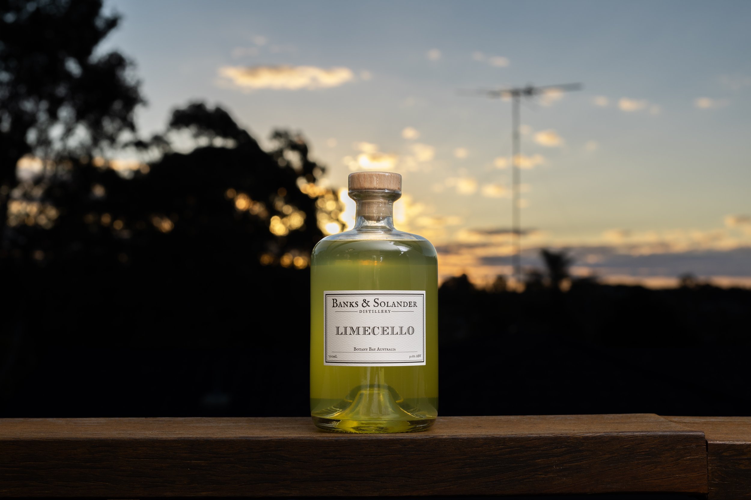 B&S-LIME-35758.jpg