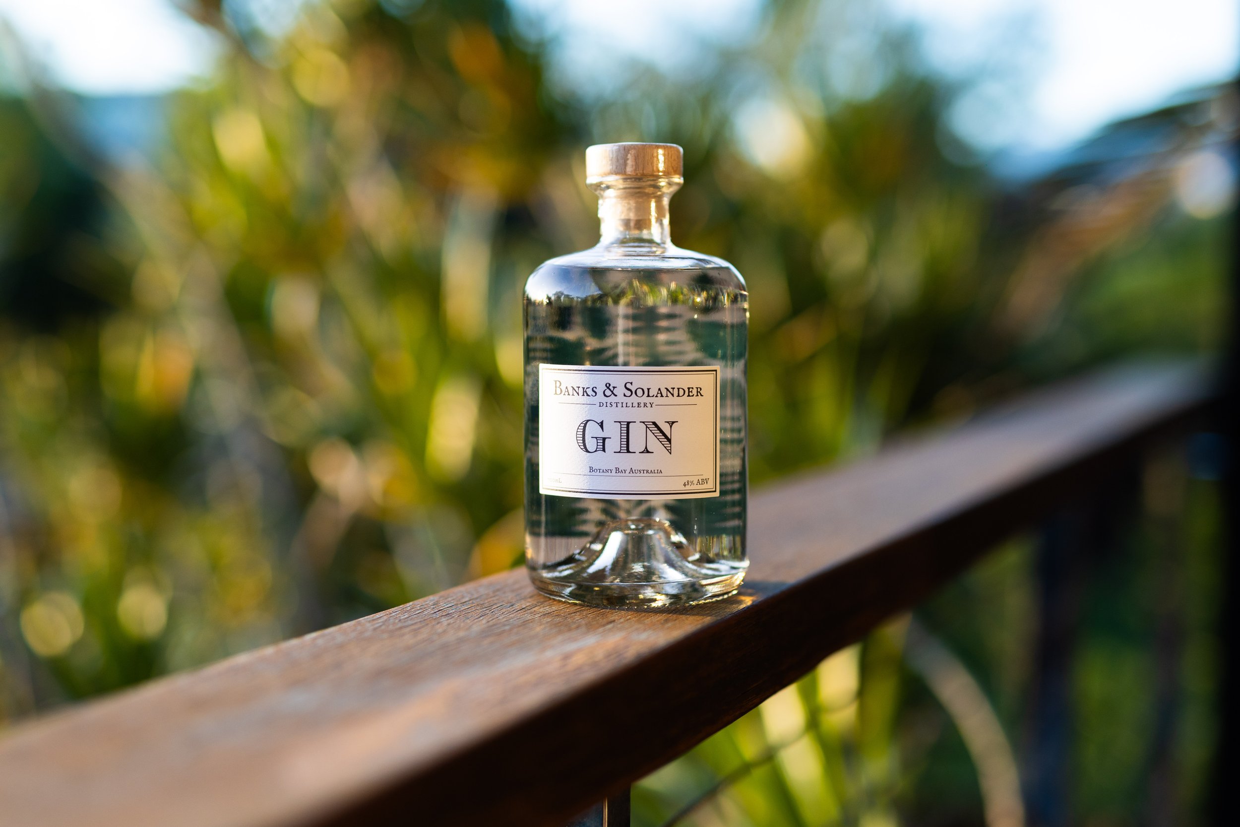 B&S-35716SIG-GIN.jpg