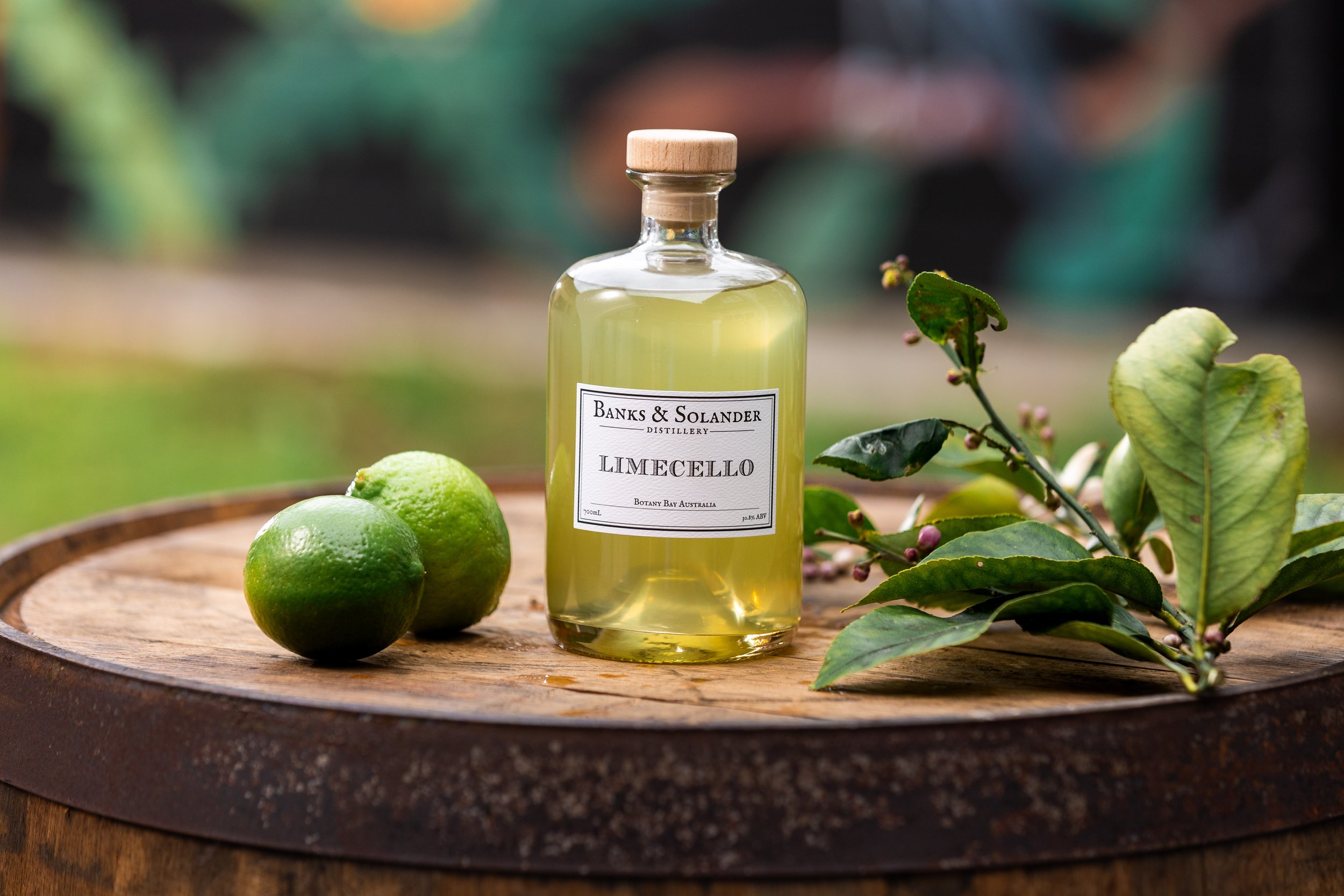 B&S_SUMMER25_LIME_MKR37336.jpg