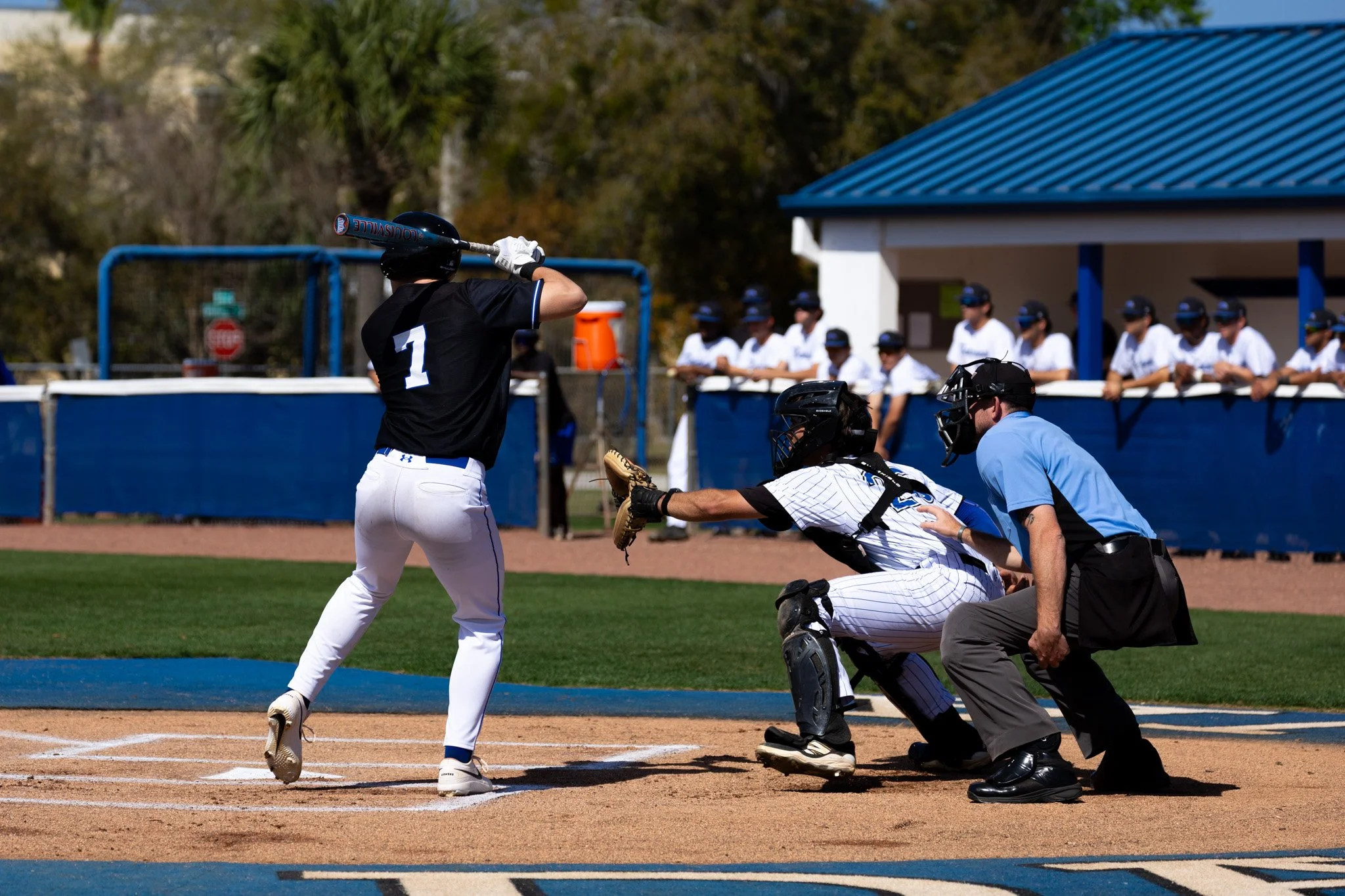 3.3.26-1 baseball.jpg