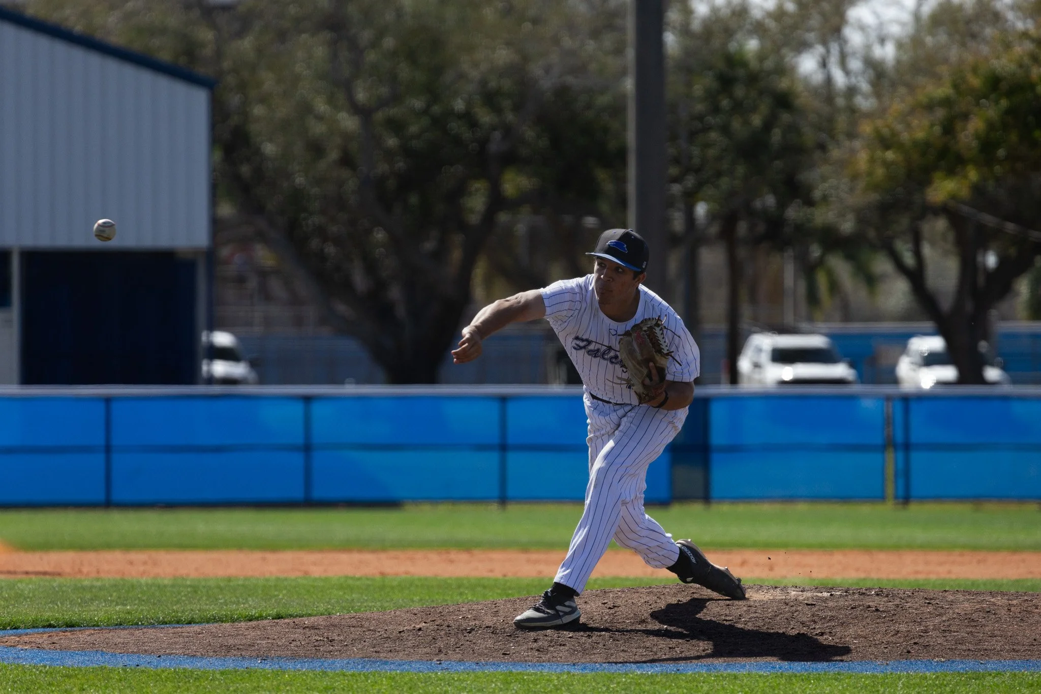 3.3.26-14 baseball.jpg