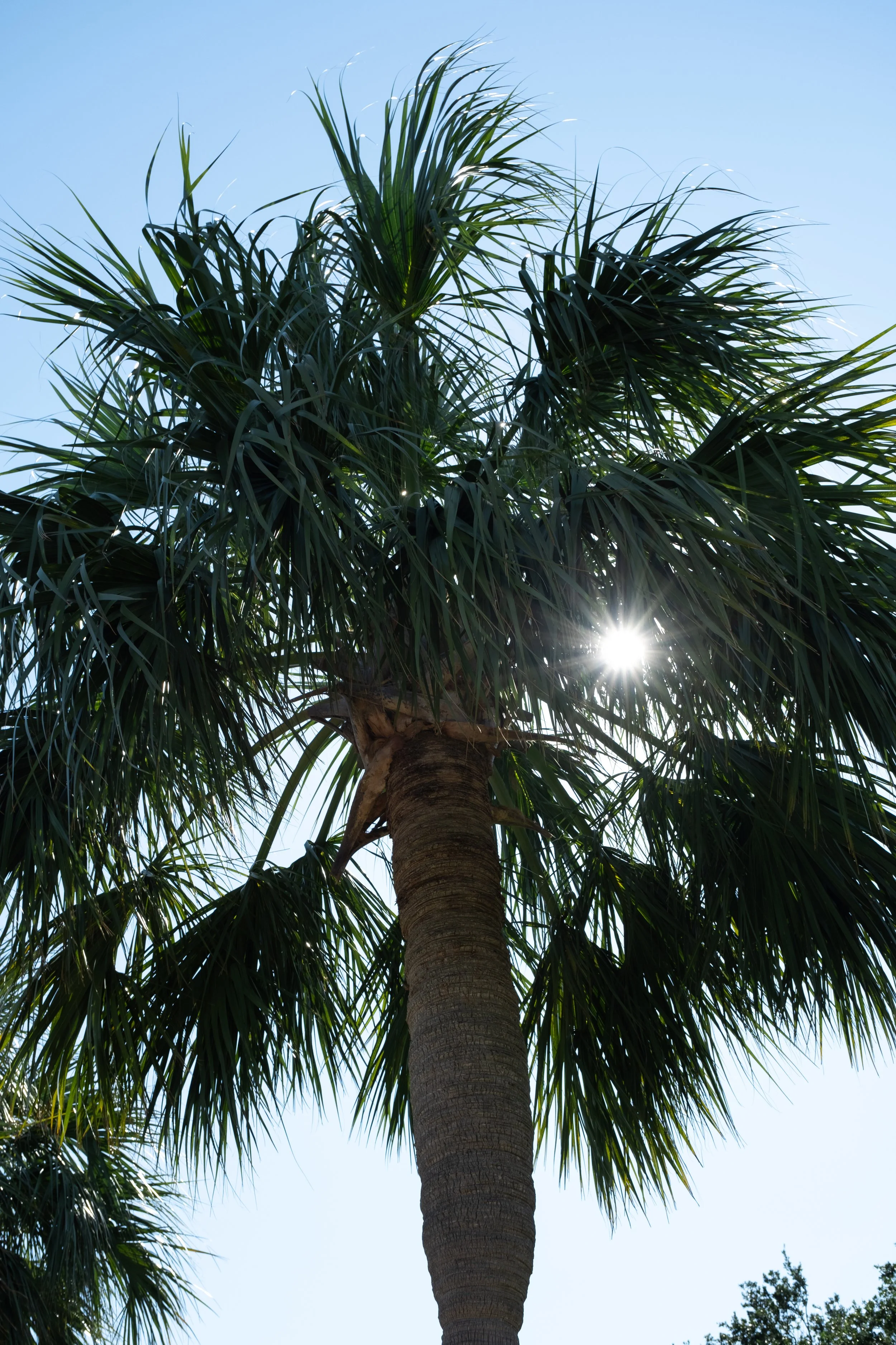 DSCF5544.jpg
