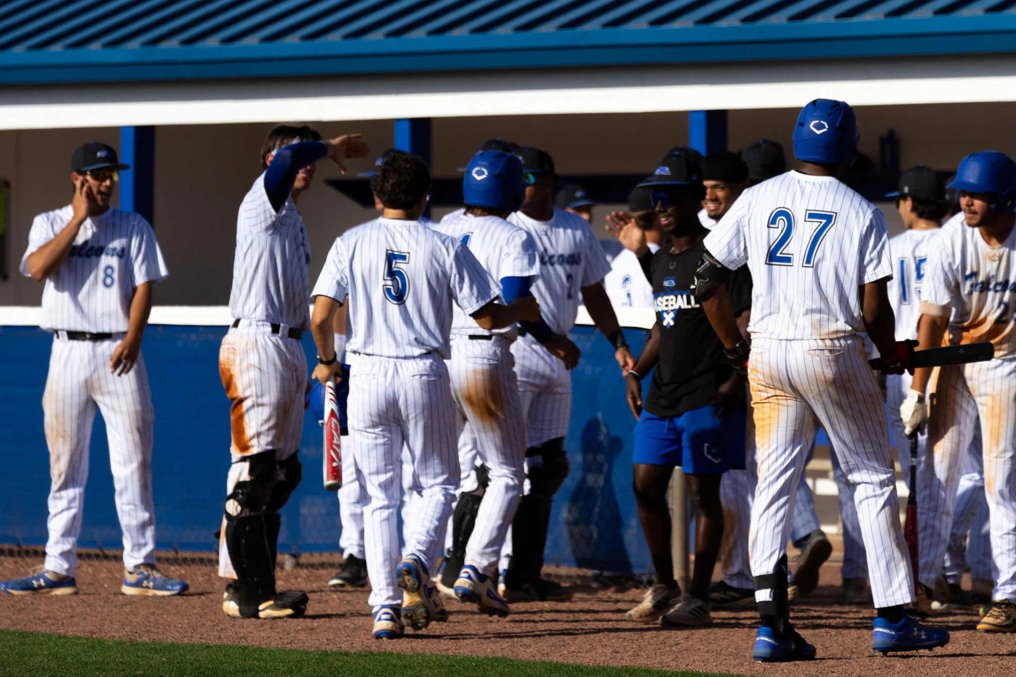 3.3.26-32 baseball.jpg