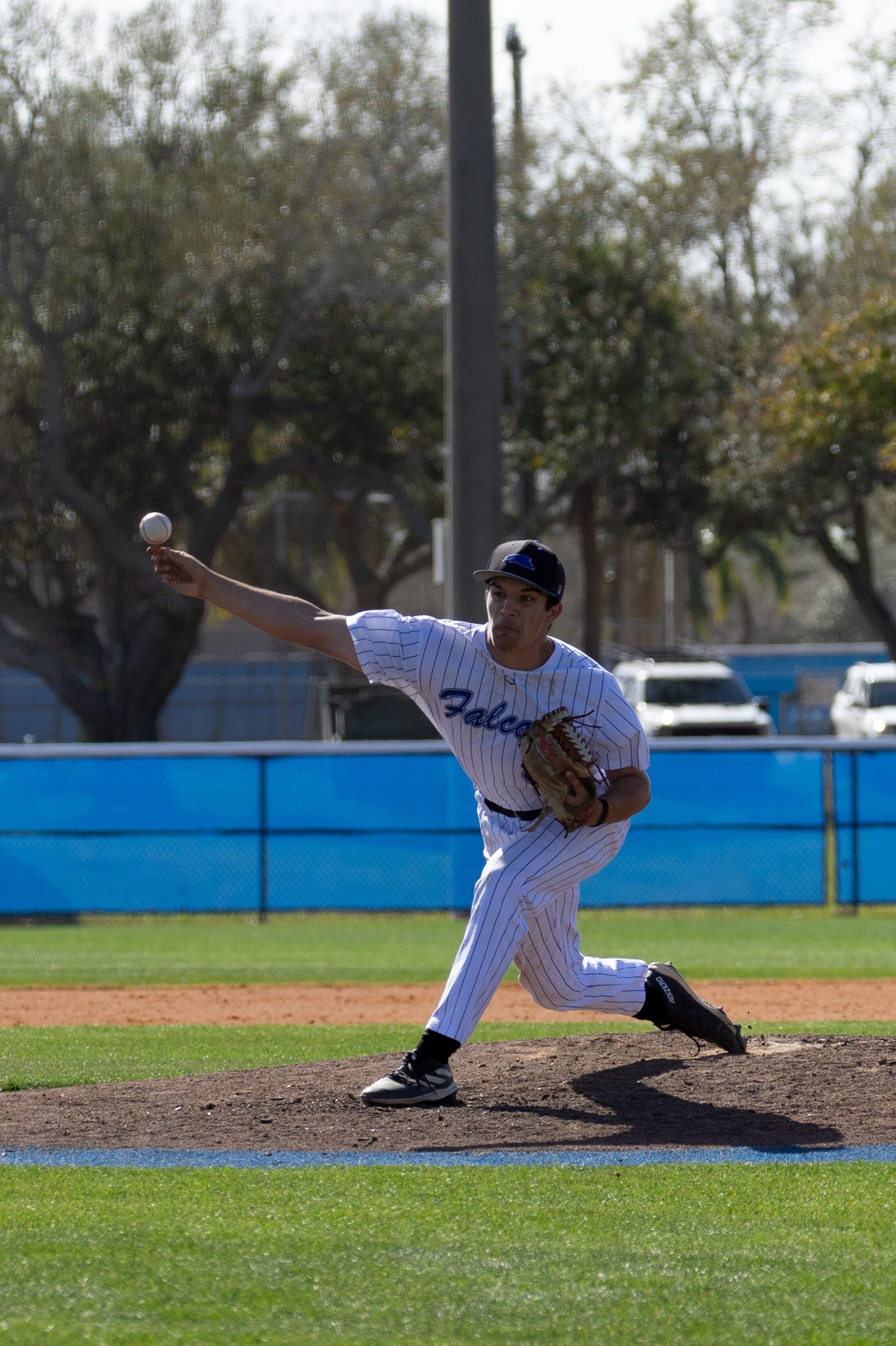 3.3.26-18 baseball.jpg