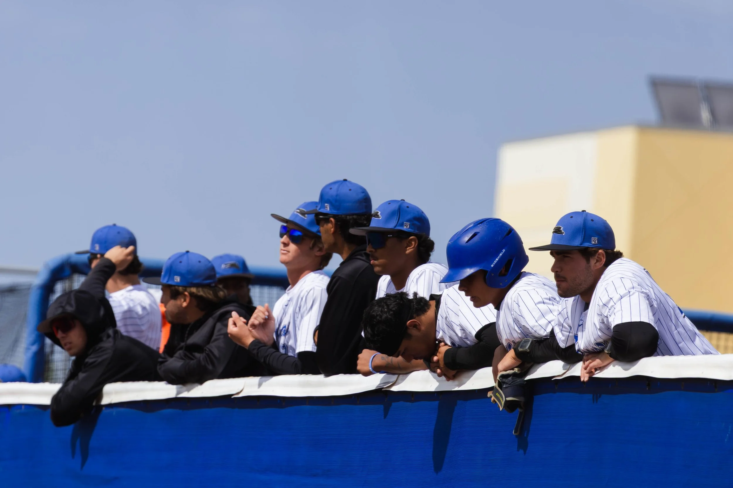 3.19.26 DSC BB-43.jpg