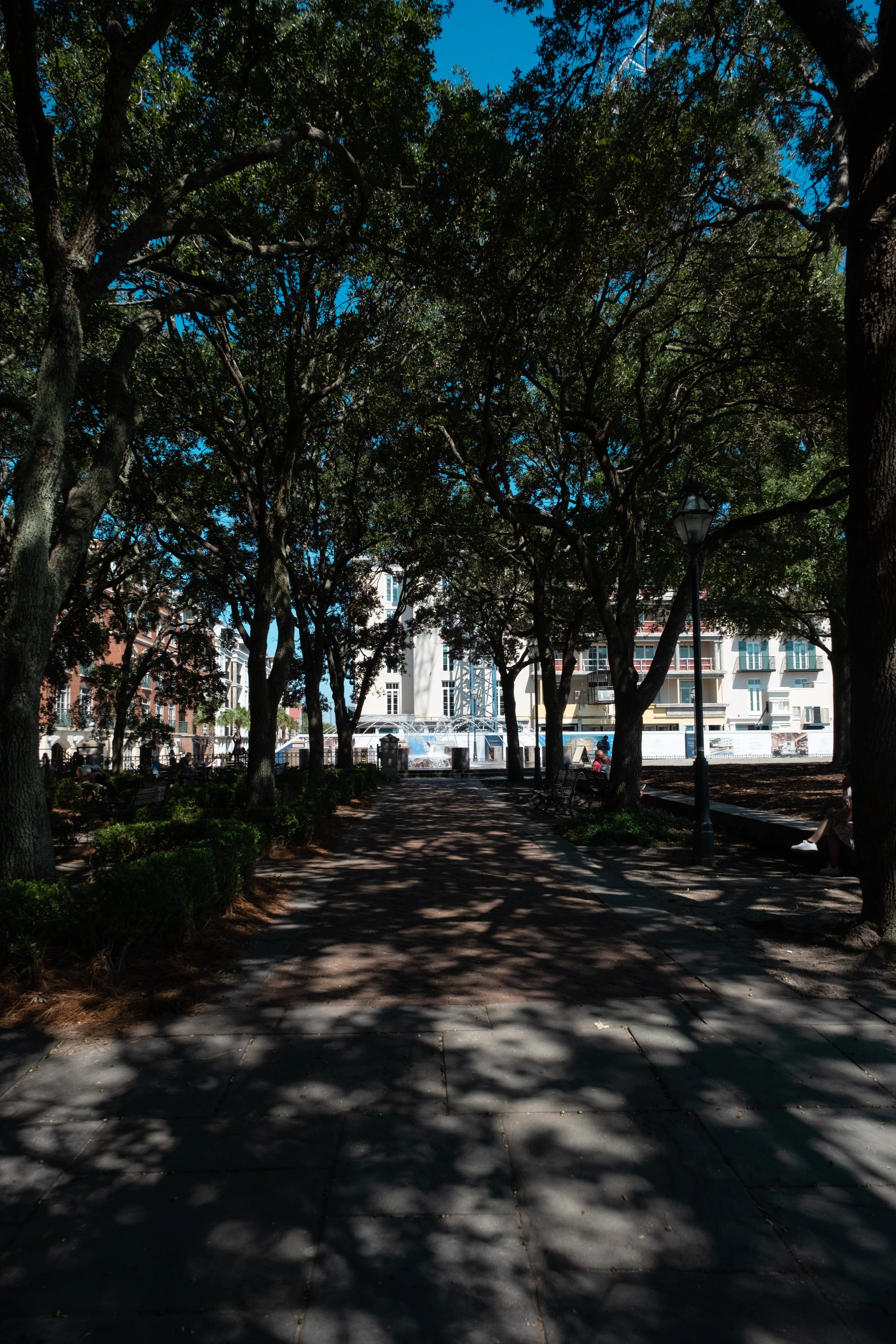 DSCF5332.jpg