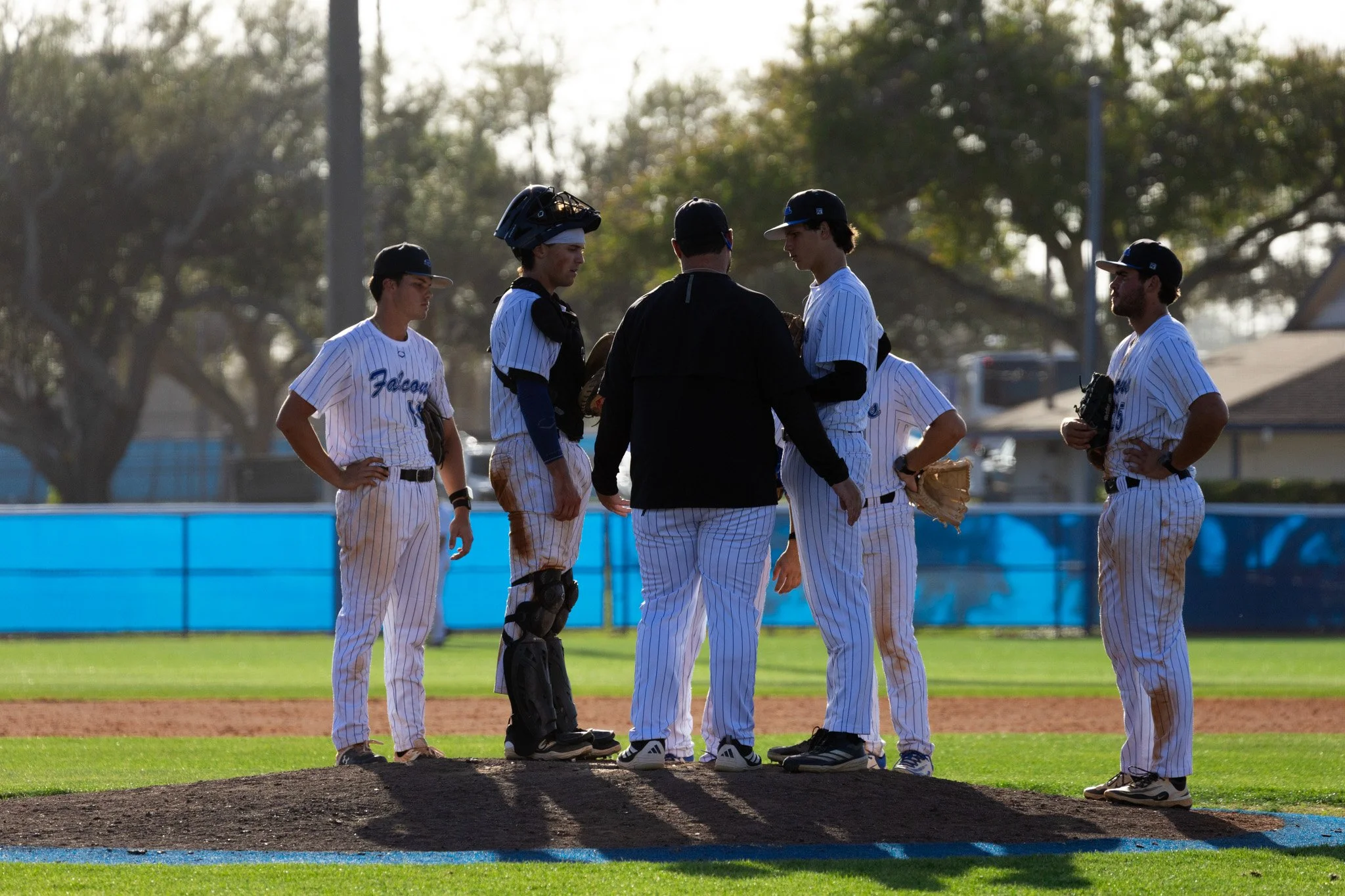 3.3.26-37 baseball.jpg