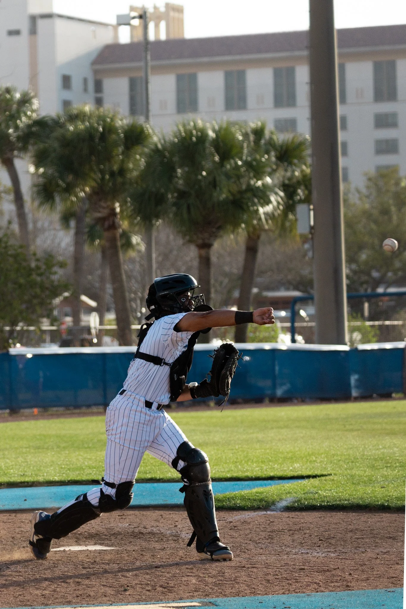 3.3.26-44 baseball.jpg