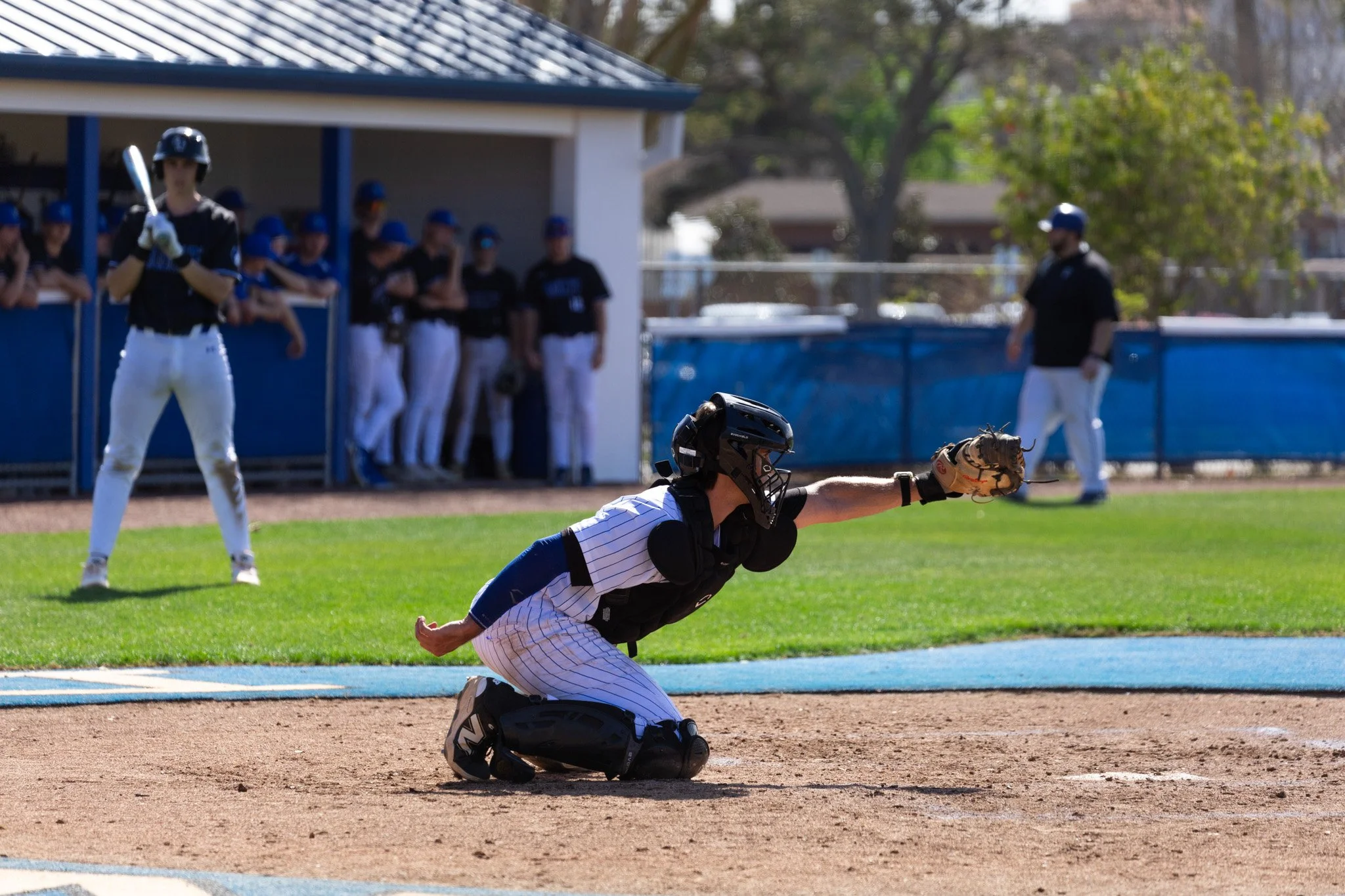 3.3.26-6 baseball.jpg