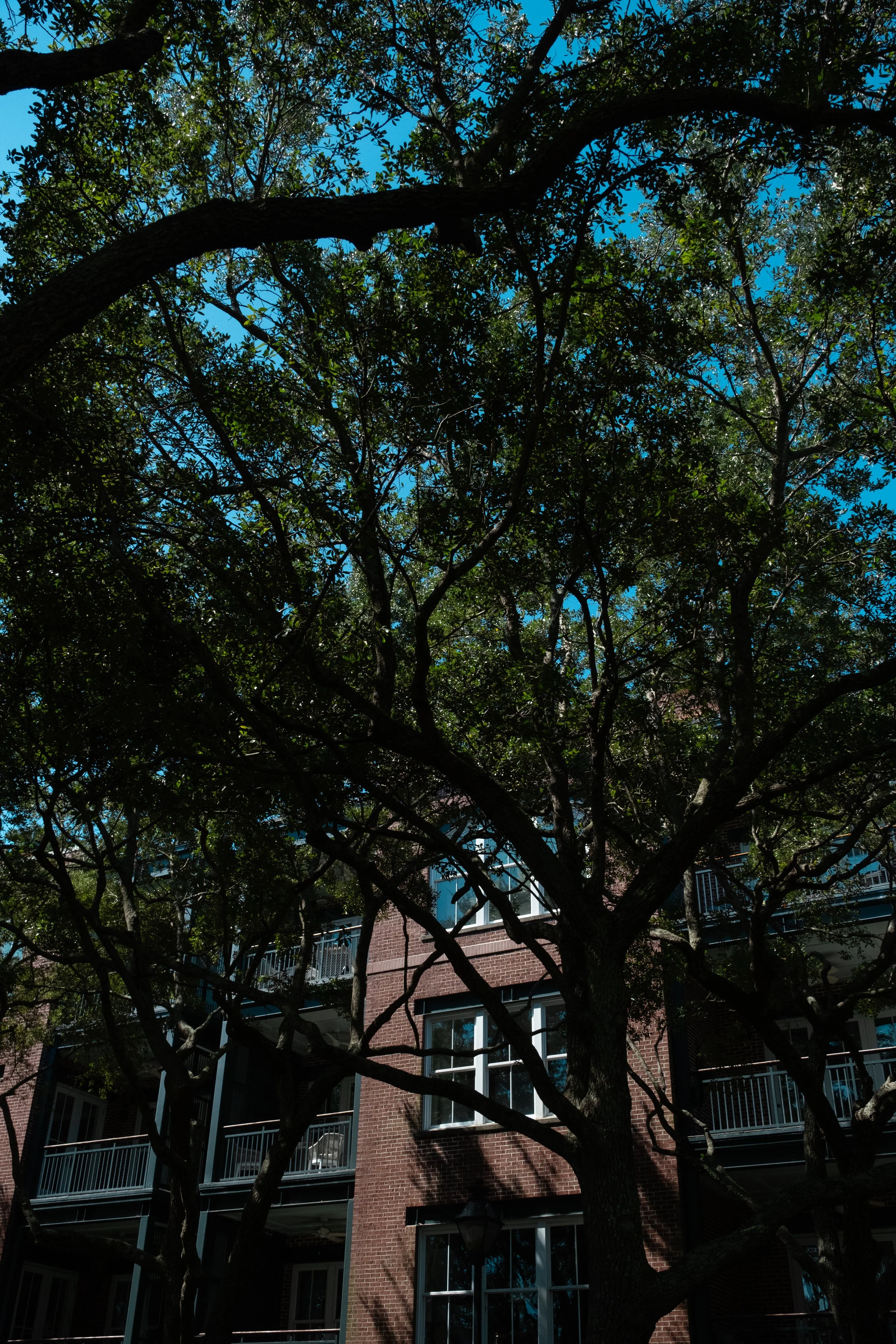 DSCF5331.jpg