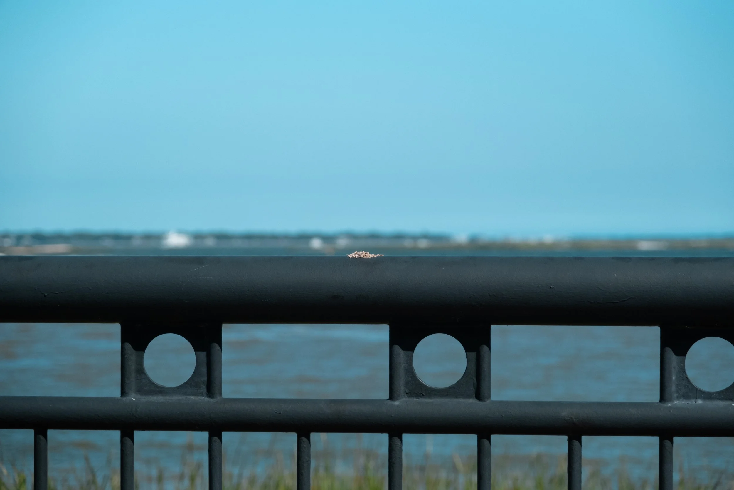 DSCF5383.jpg