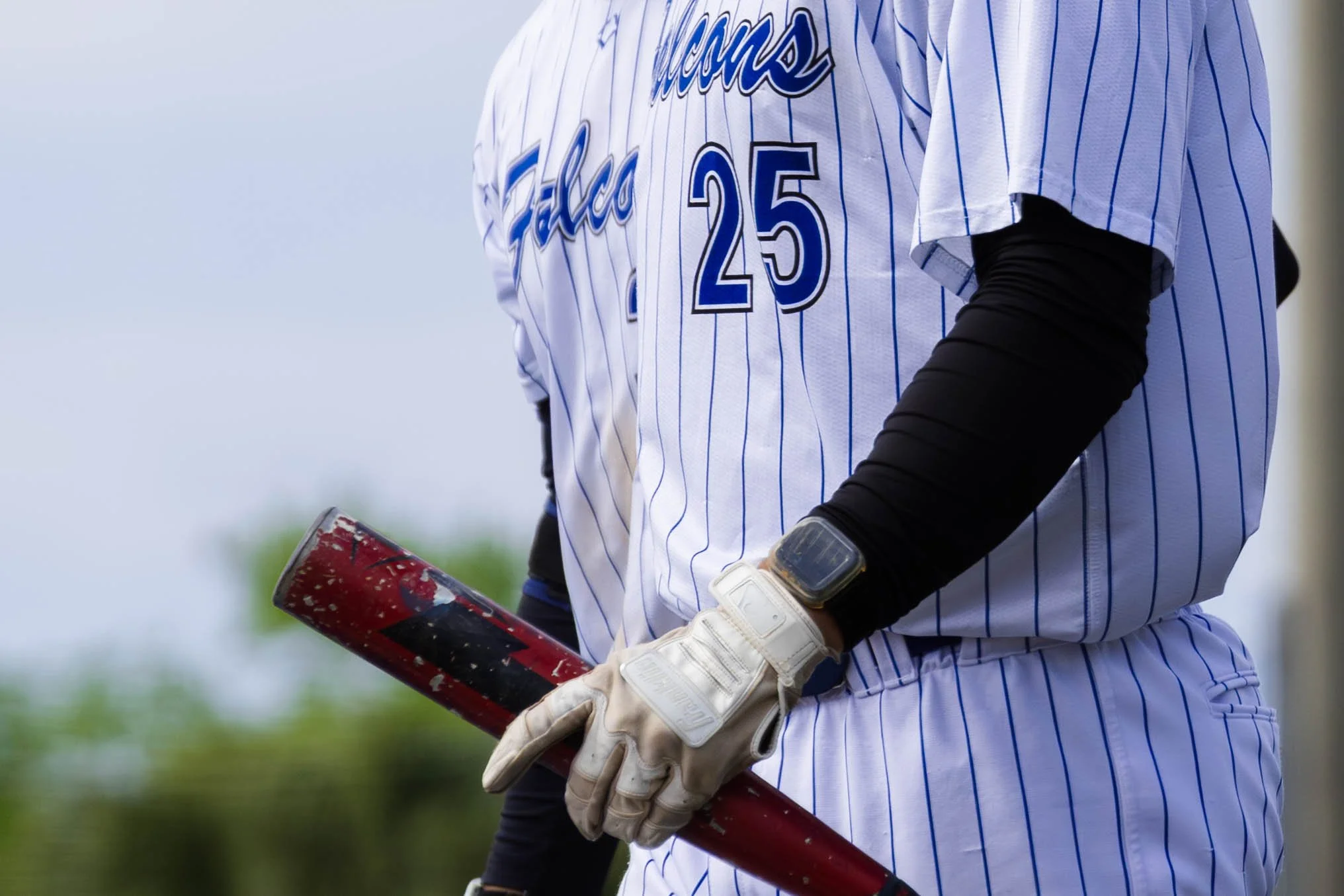 3.19.26 DSC BB-38.jpg