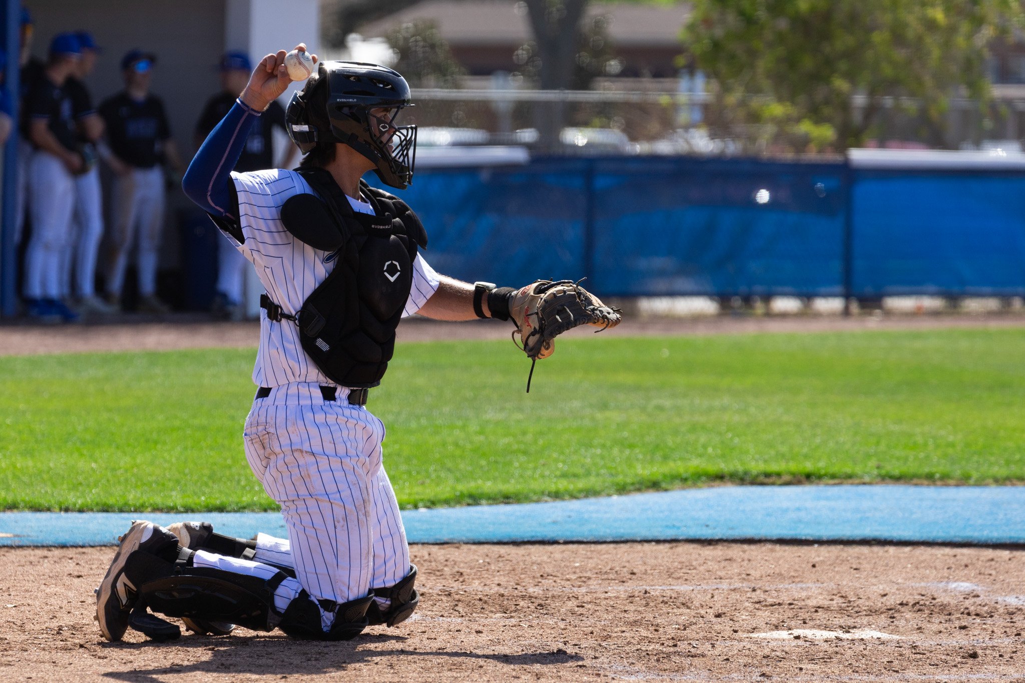 3.3.26-5 baseball.jpg