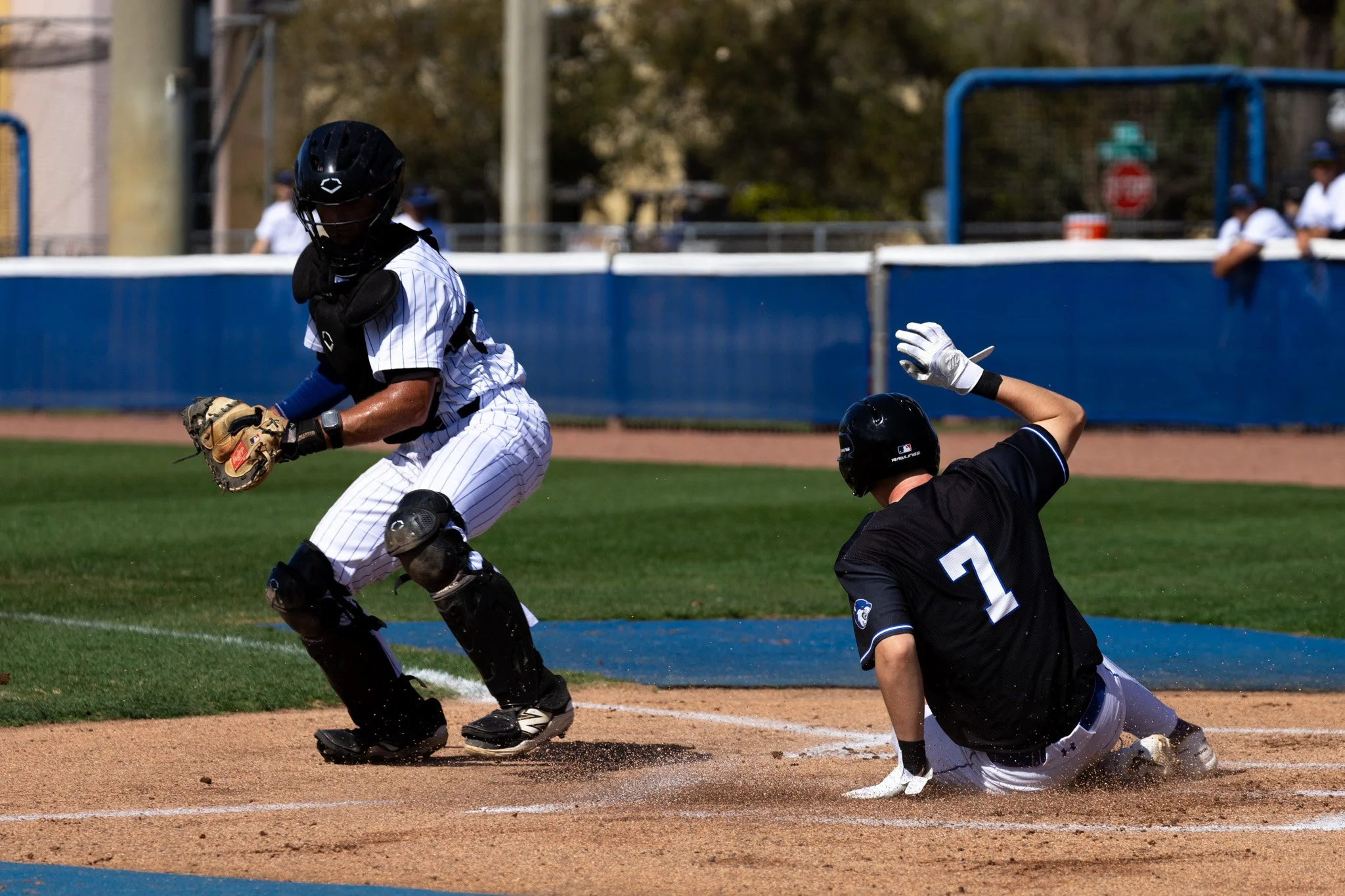 3.3.26-2 baseball.jpg