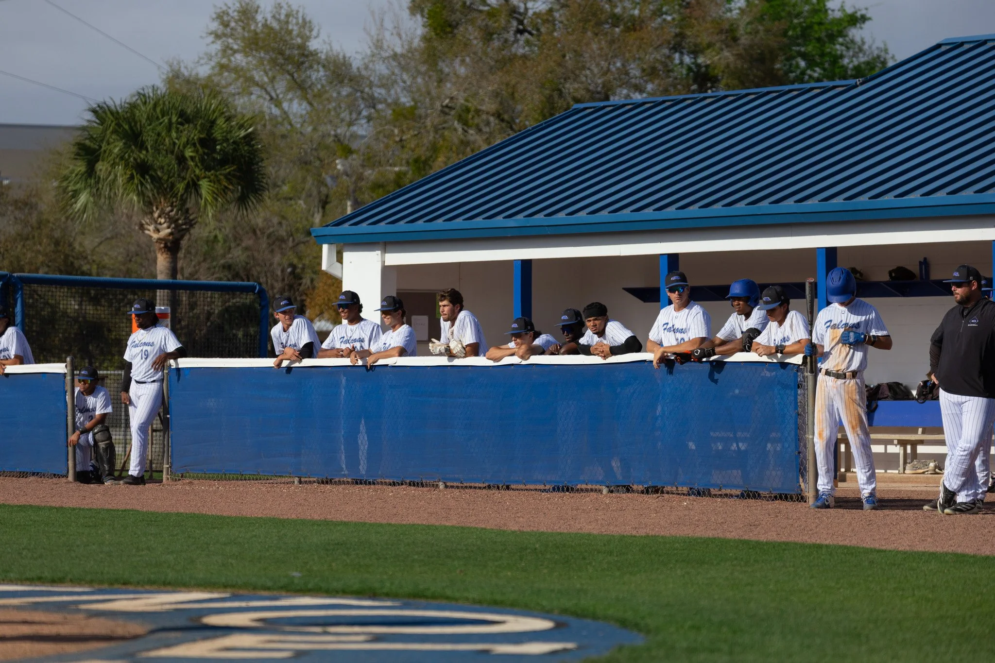 3.3.26-29 baseball.jpg