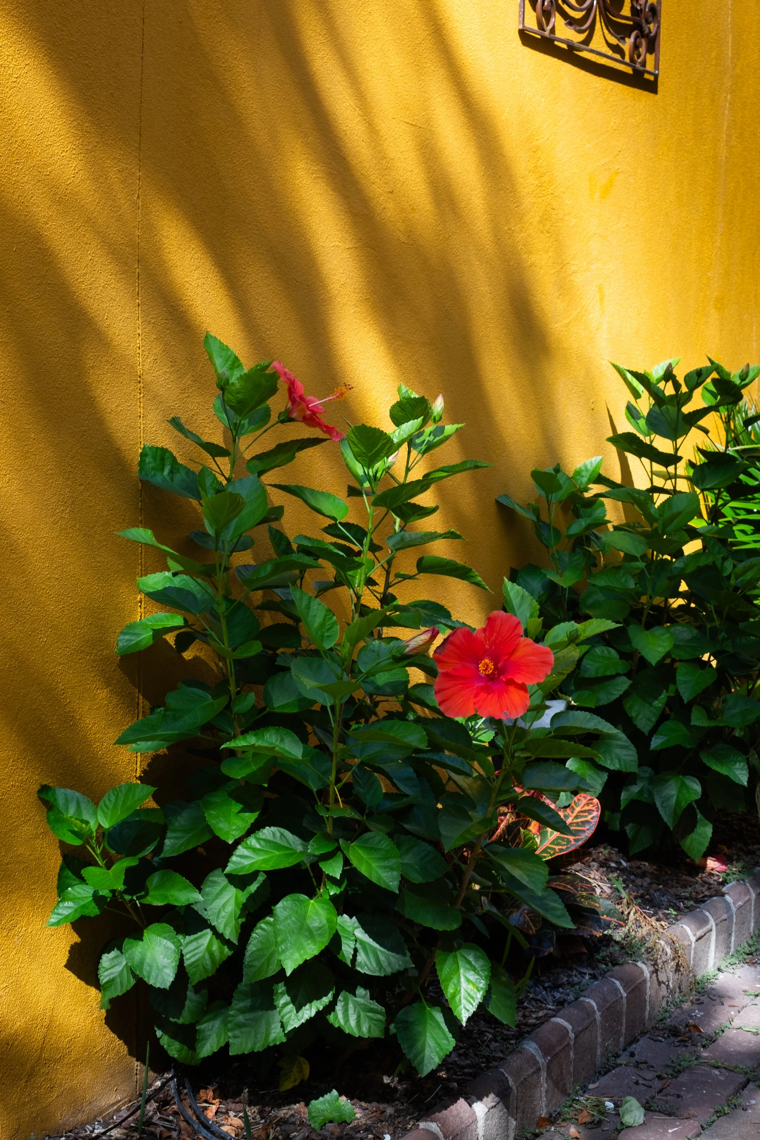 DSCF5561.jpg
