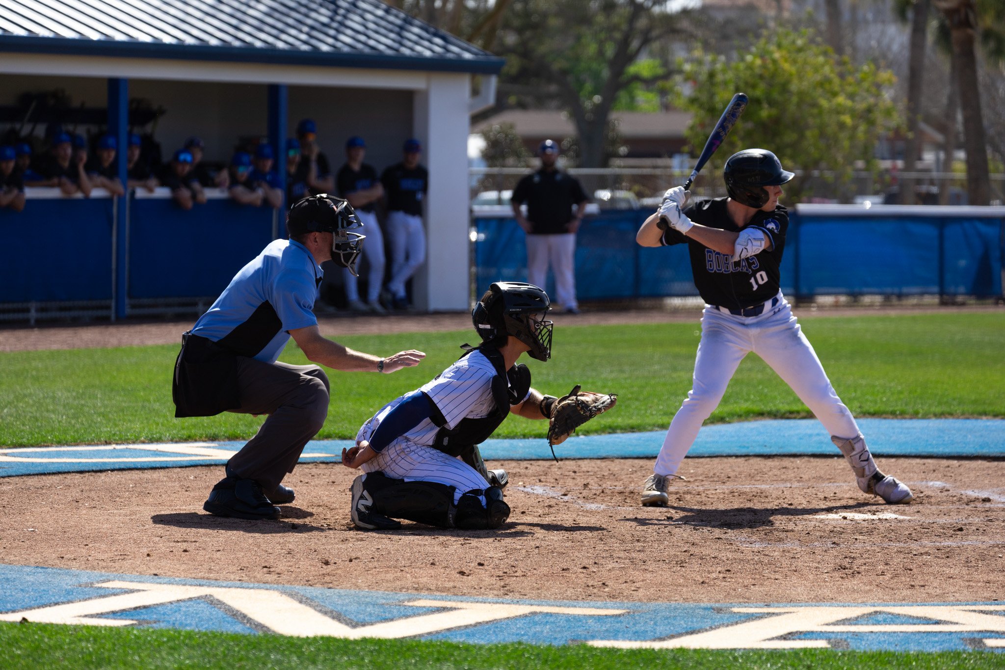 3.3.26-4 baseball.jpg