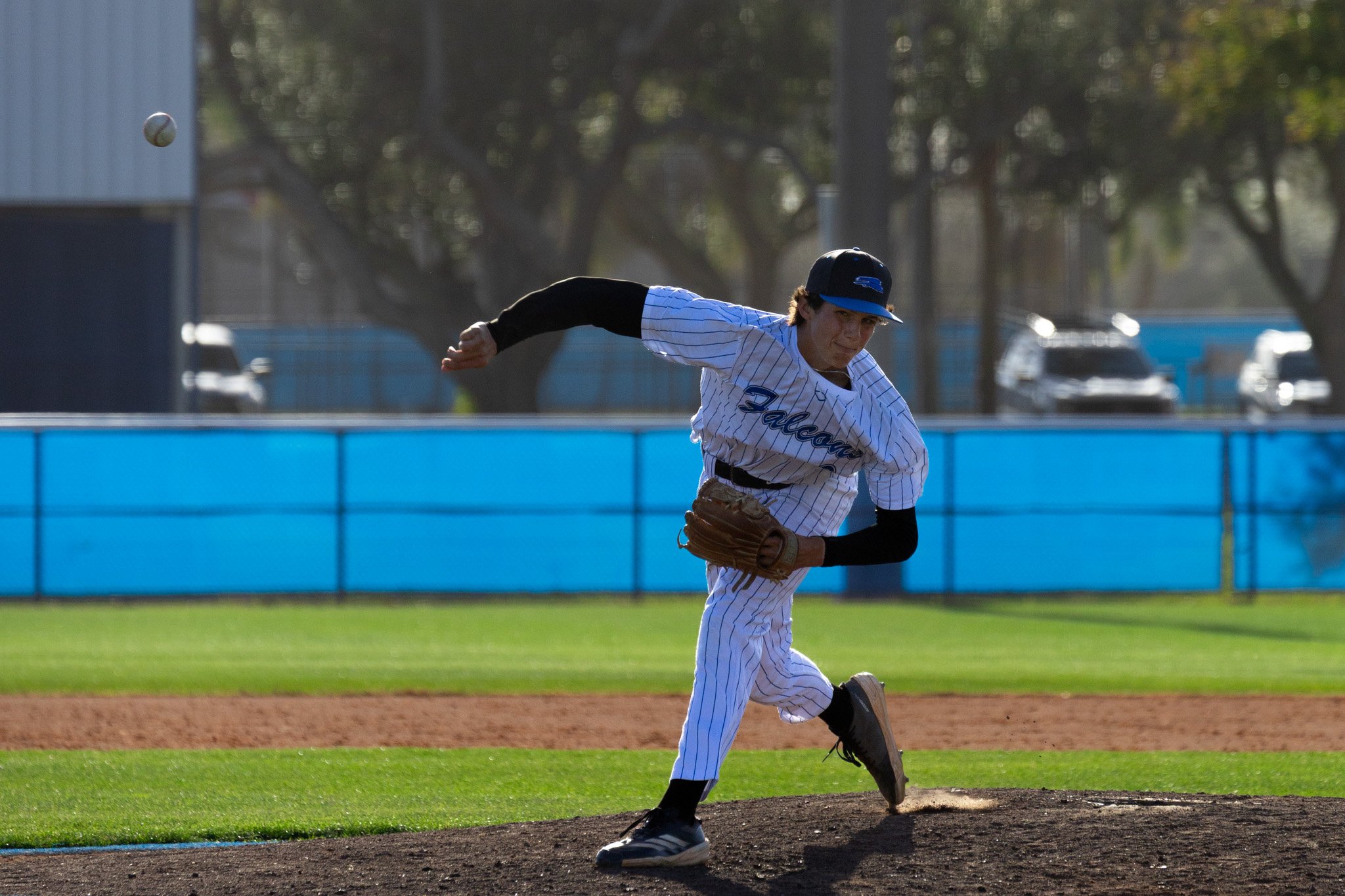 3.3.26-36 baseball.jpg