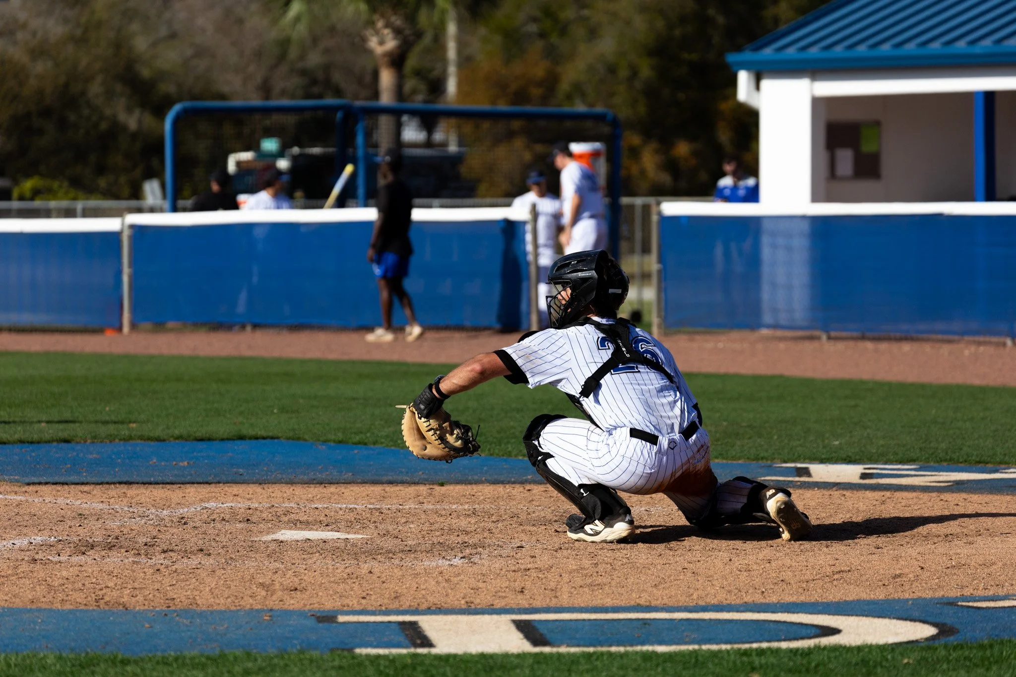 3.3.26-25 baseball.jpg