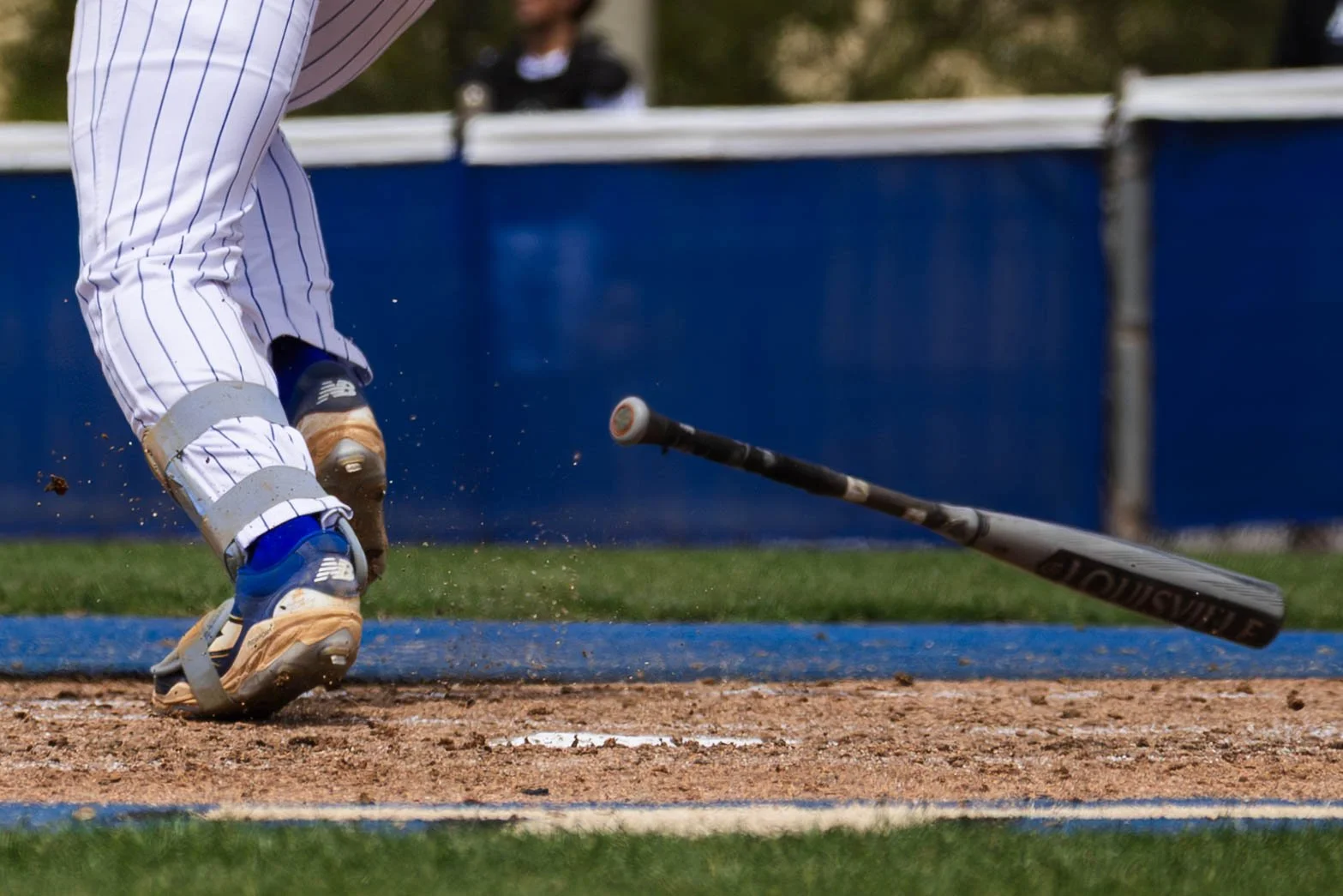 3.19.26 DSC BB-23.jpg