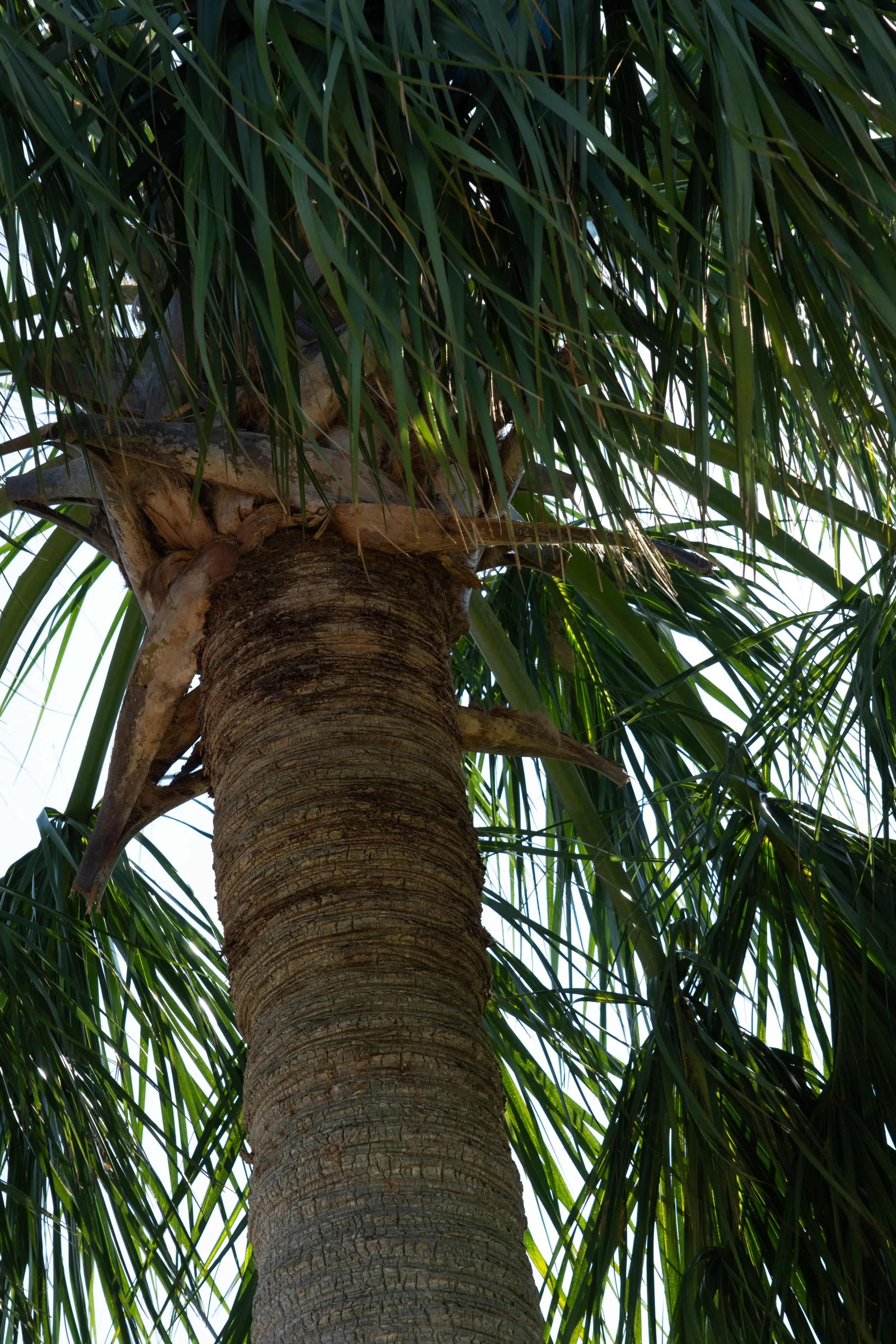 DSCF5545.jpg