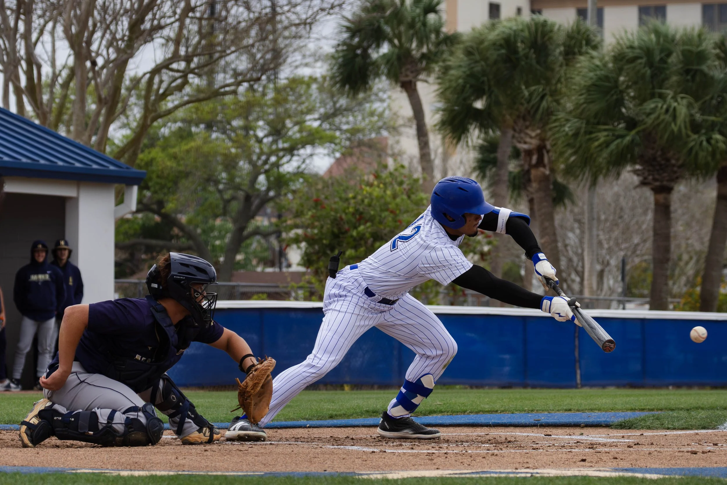 3.19.26 DSC BB-9.jpg