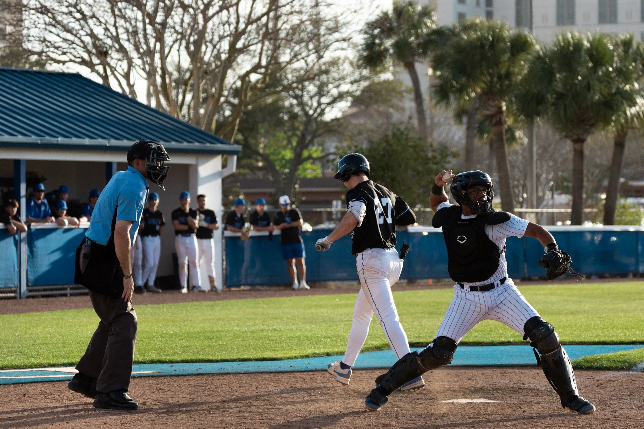 3.3.26-43 baseball.jpg