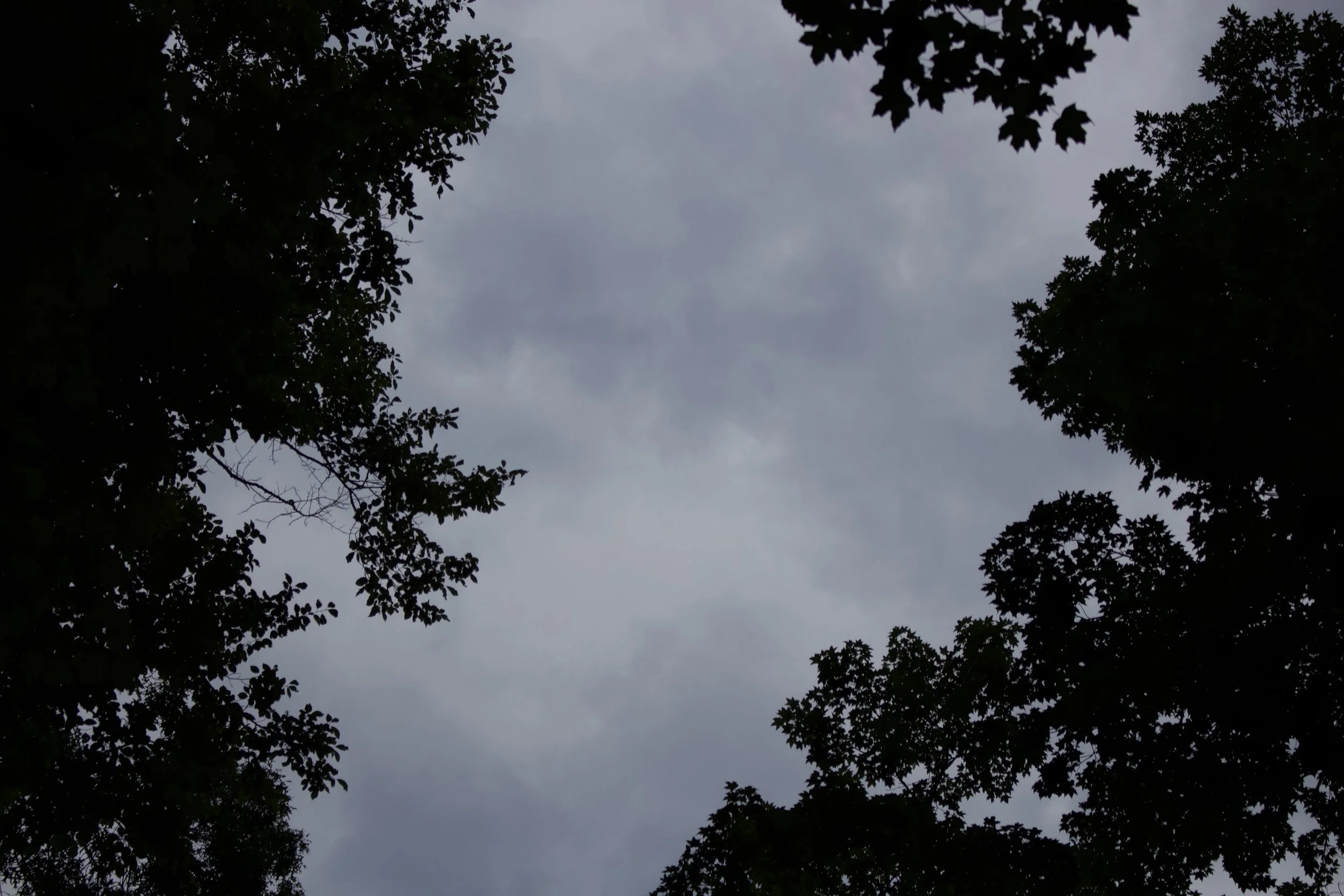 IMG_4353.jpg