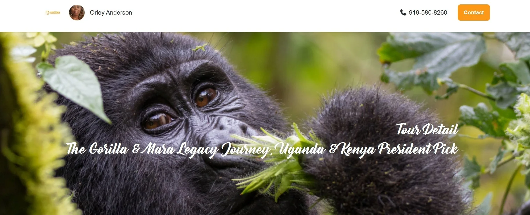 Big Five Tours - Book Now